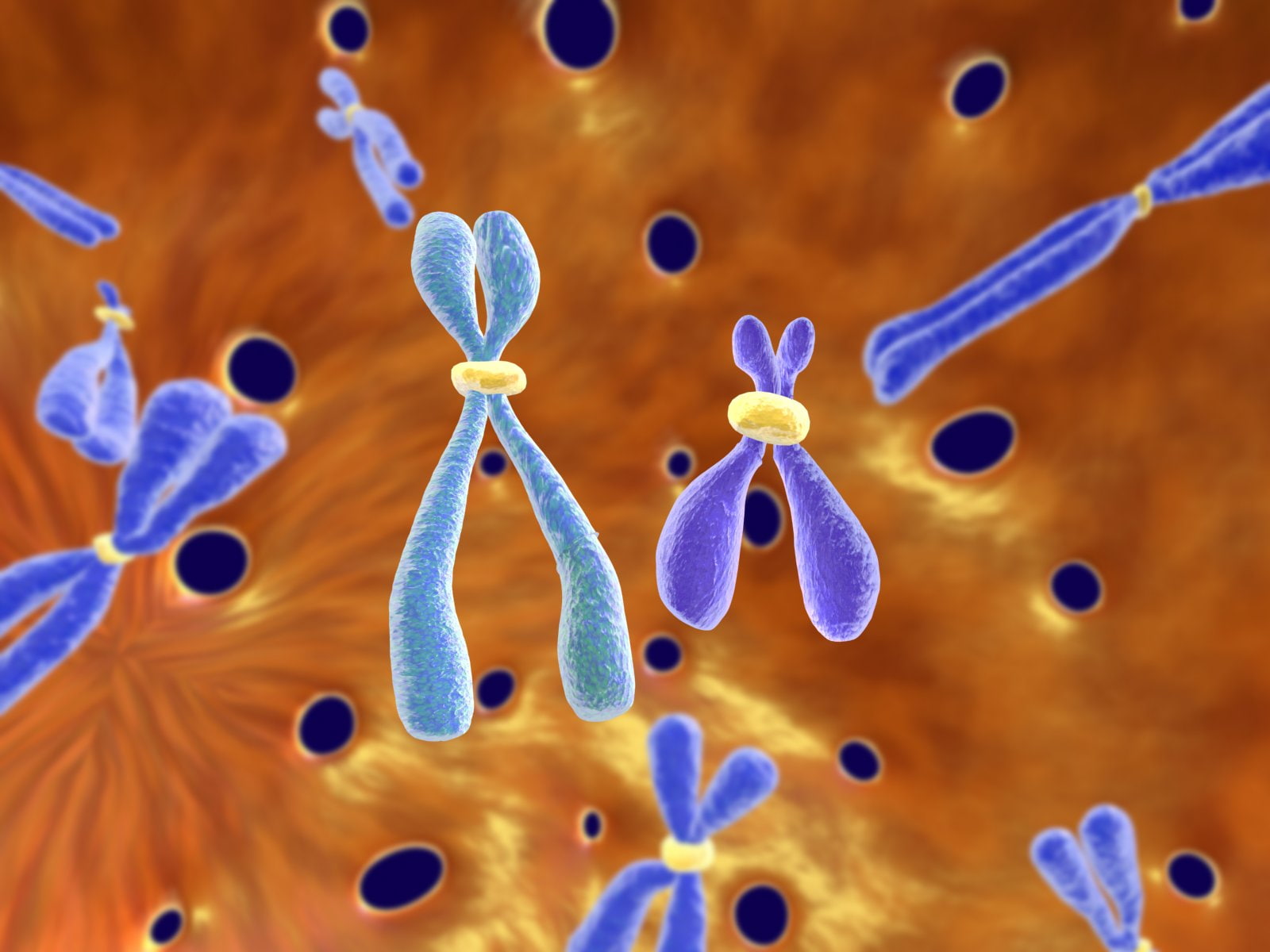 3 d, pattern, dna, 720P, genetic, psychedelic, chromosome, HD Wallpaper