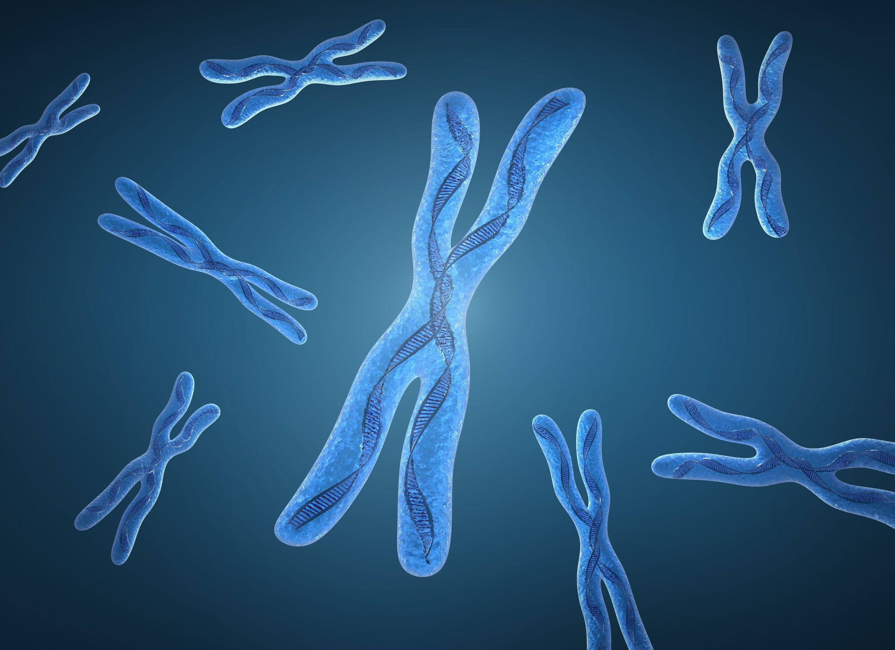 2K, genetic, pattern, psychedelic, dna, chromosome, 3 d, HD Wallpaper