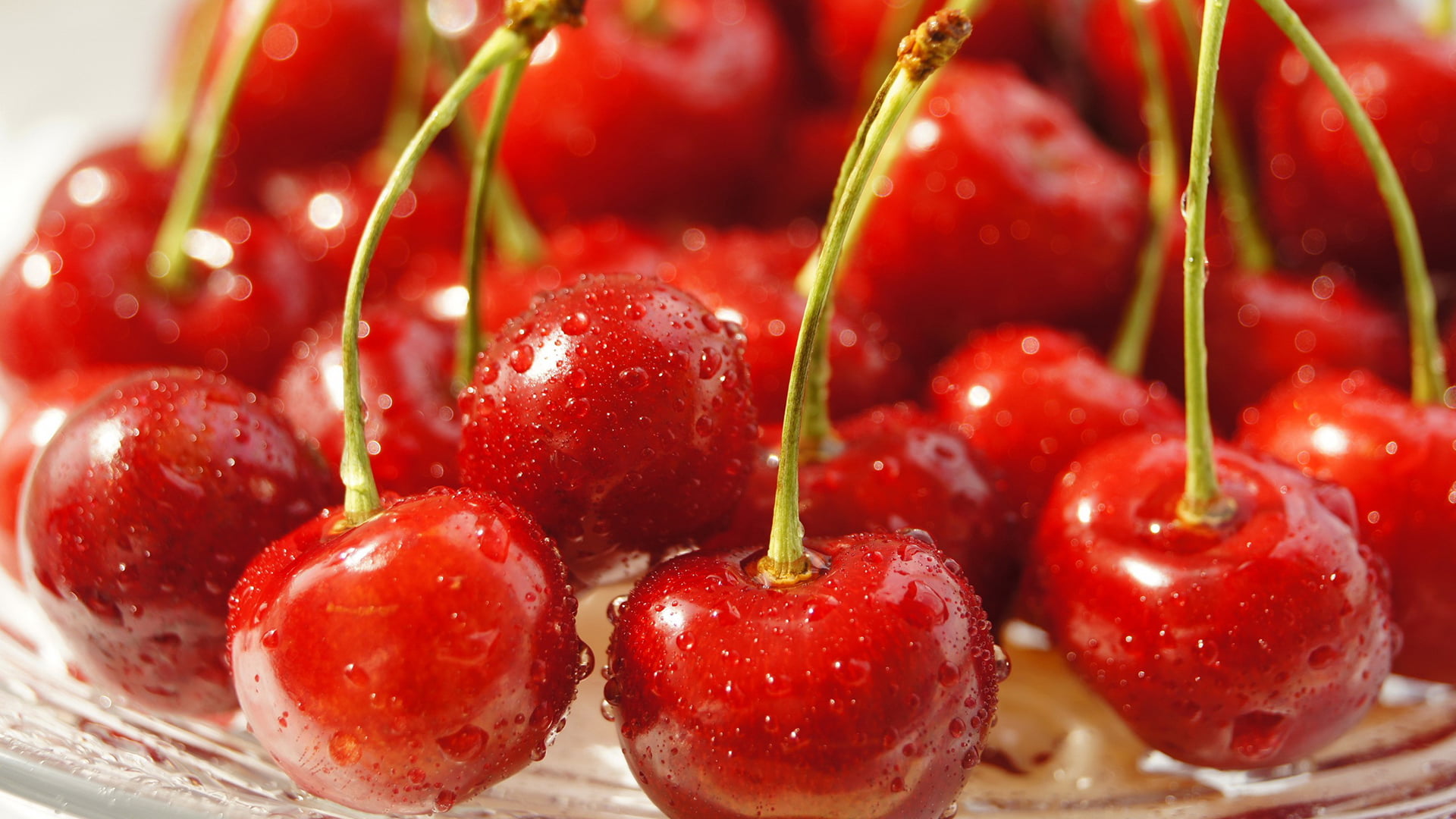 plant stem, close, object, fresh, fruit, sweet food, natural, vitamin, eating, shiny, wellbeing, still life, focus on foreground, group, healthy, cherry, HD Wallpaper