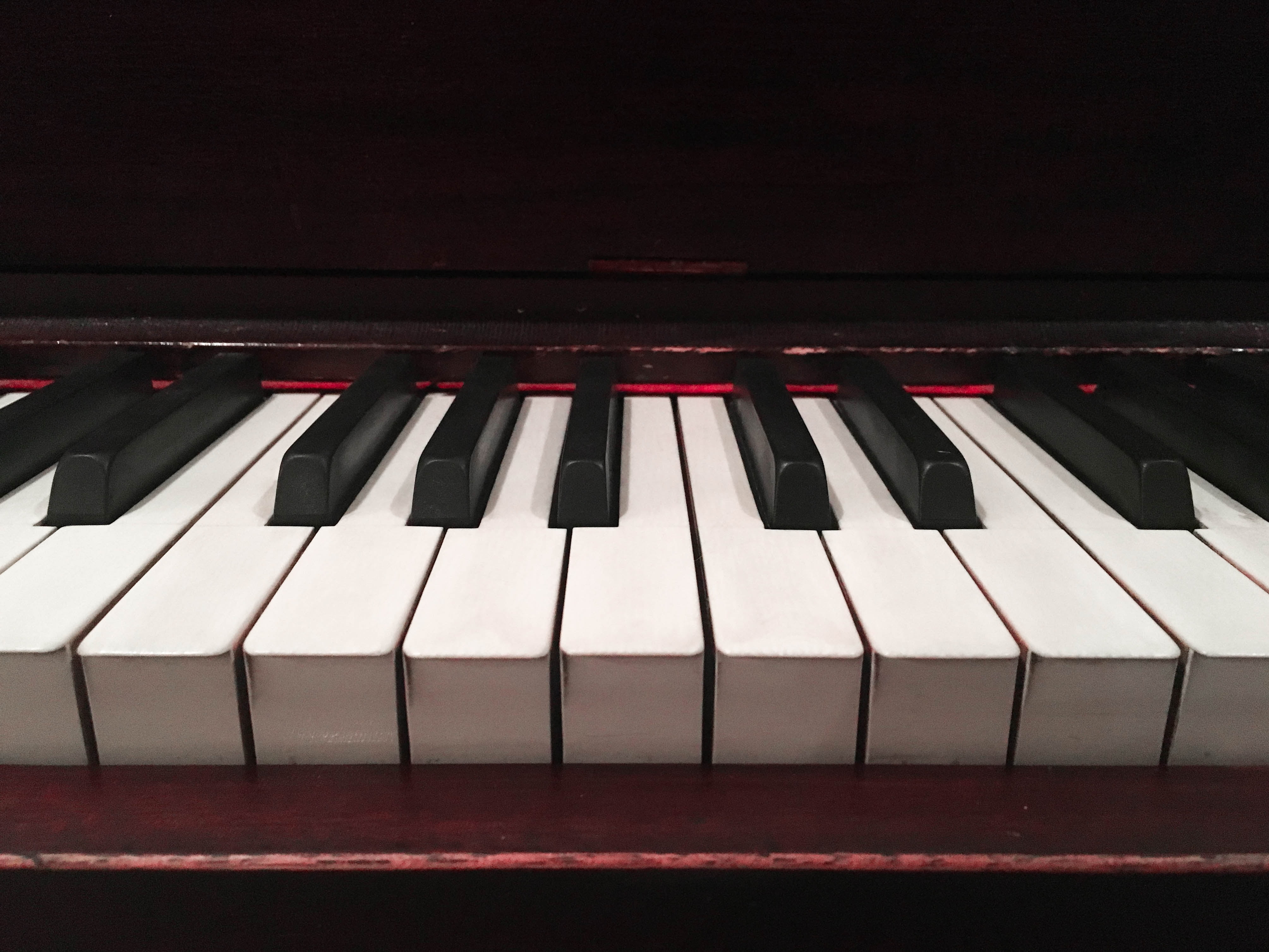 ebony, key, close-up, musician, keyboard instrument, skill, white color, black Color, performance, practicing, pink color, art, playing, high angle view, HD Wallpaper