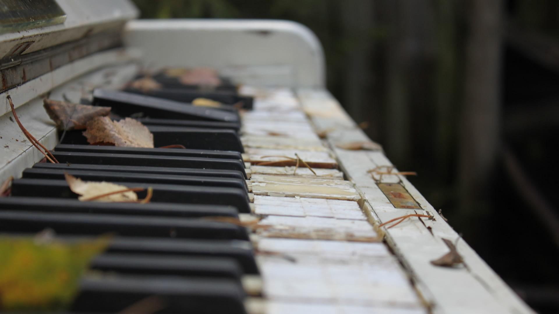 autumn, music, keys, instrument, season, 1080P, nature, 3d and abs, leaves, outside, photography, piano, ivory, HD Wallpaper