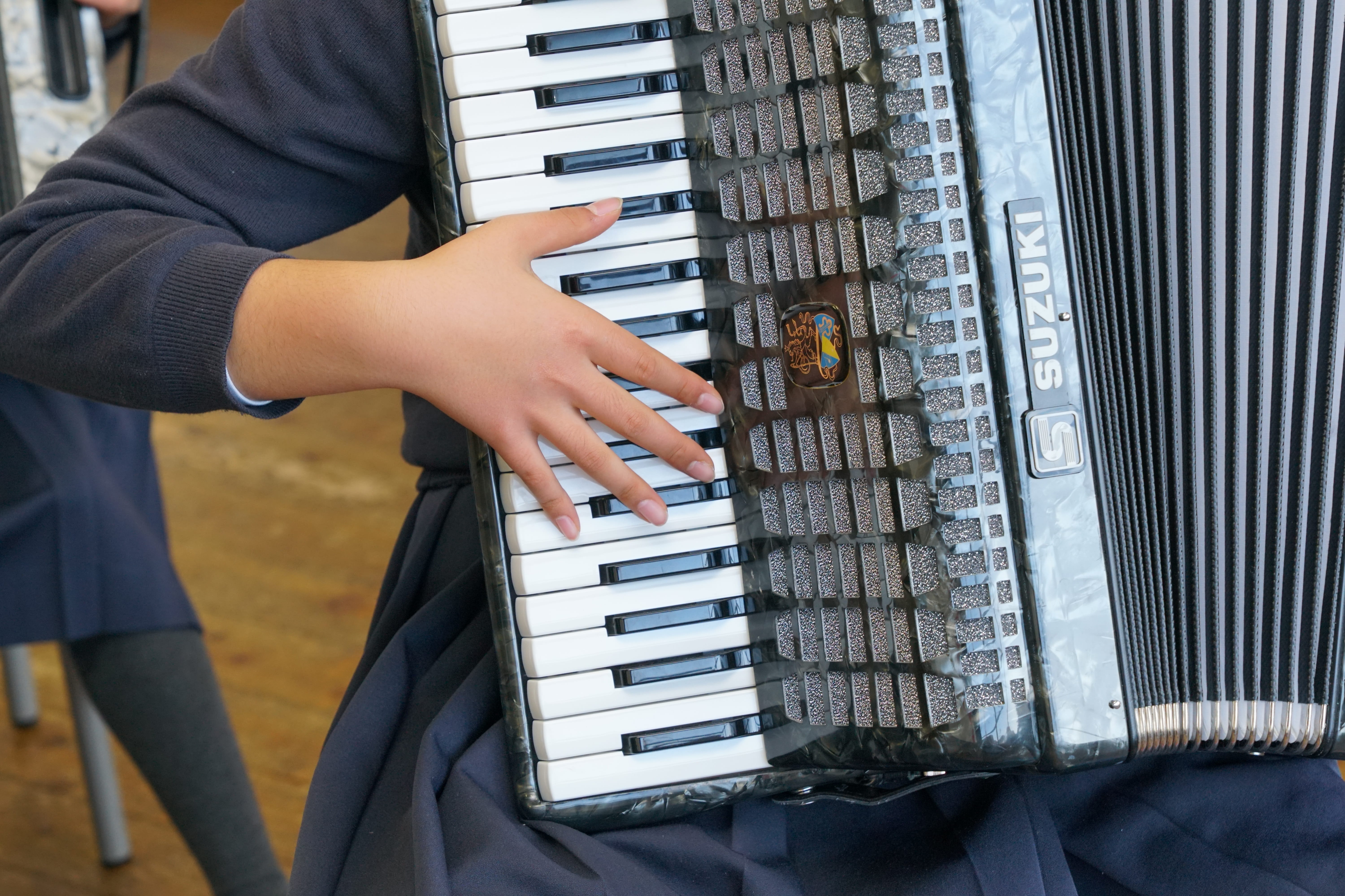 midsection, men, classical Music, people, sound, keyboard, focus on foreground, performer, musician, real people, leisure activity, Accordion, Music, indoors, HD Wallpaper