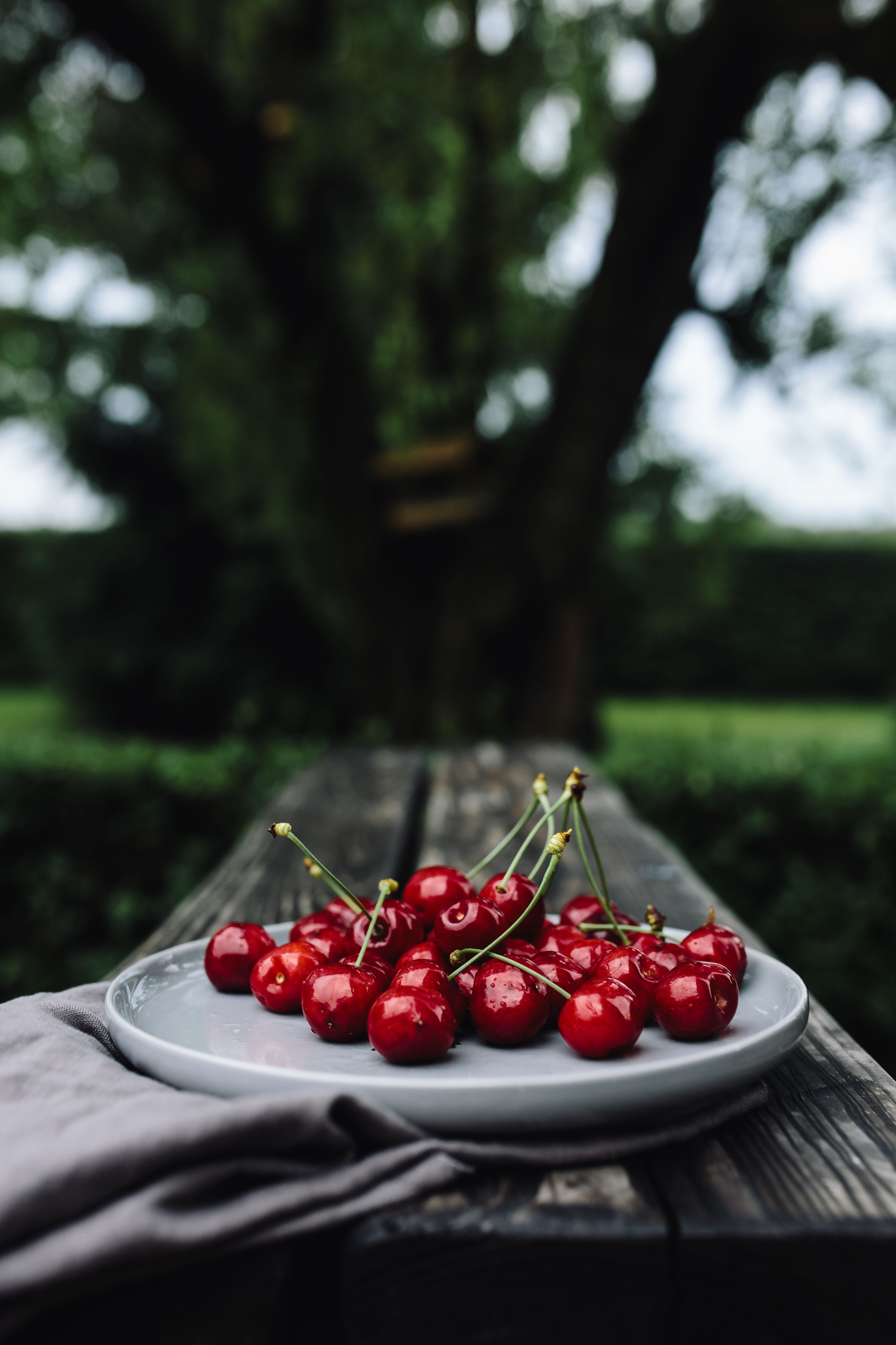 seasonal, cherry, dessert, day, no people, Cherries, simple, nature, tray, setting, fruit, berry Fruit, food and drink, food, sweet Food, outdoors, bowl, Phone HD Wallpaper
