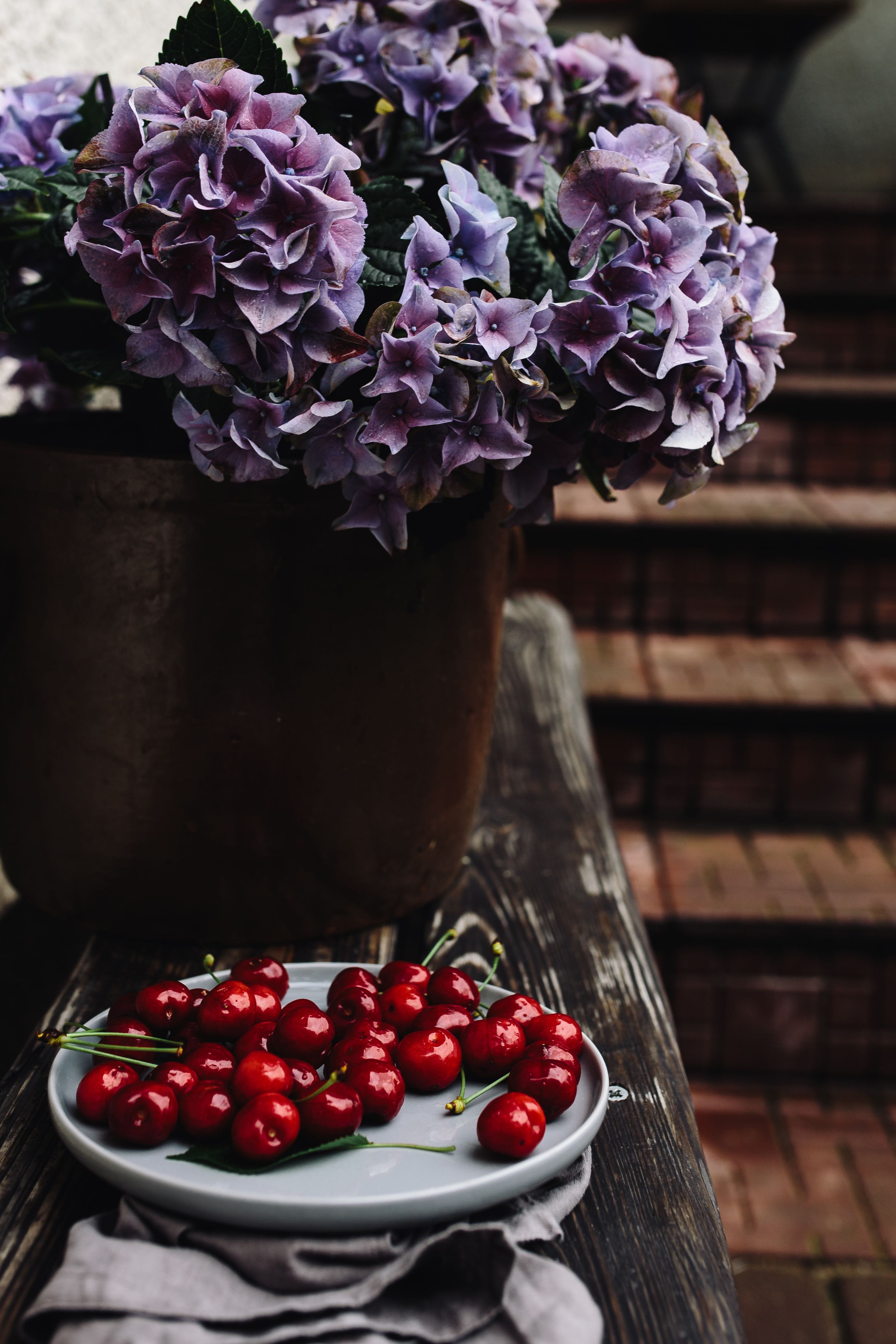 no people, nature, freshness, close-up, wellbeing, vase, beauty in nature, healthy, simple, 4K, fruit, summer, fruits, table, Cherries, Fresh, plant, wood - Material, Phone HD Wallpaper