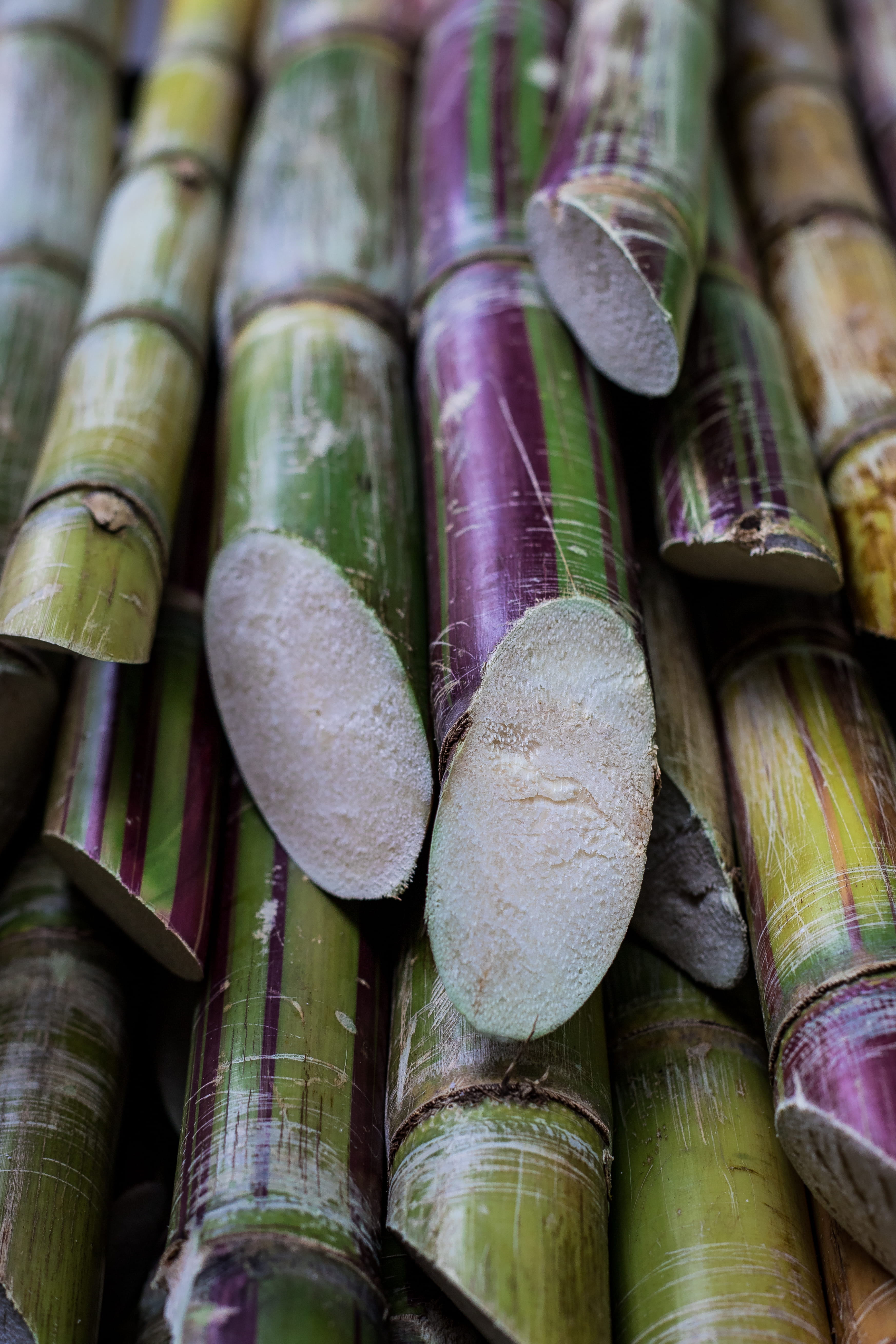 market, vegetable, retail, close-up, outdoors, 5K, united kingdom, sugarcane, still life, food, portobello road, large group of objects, stack, streetmarket, Phone HD Wallpaper