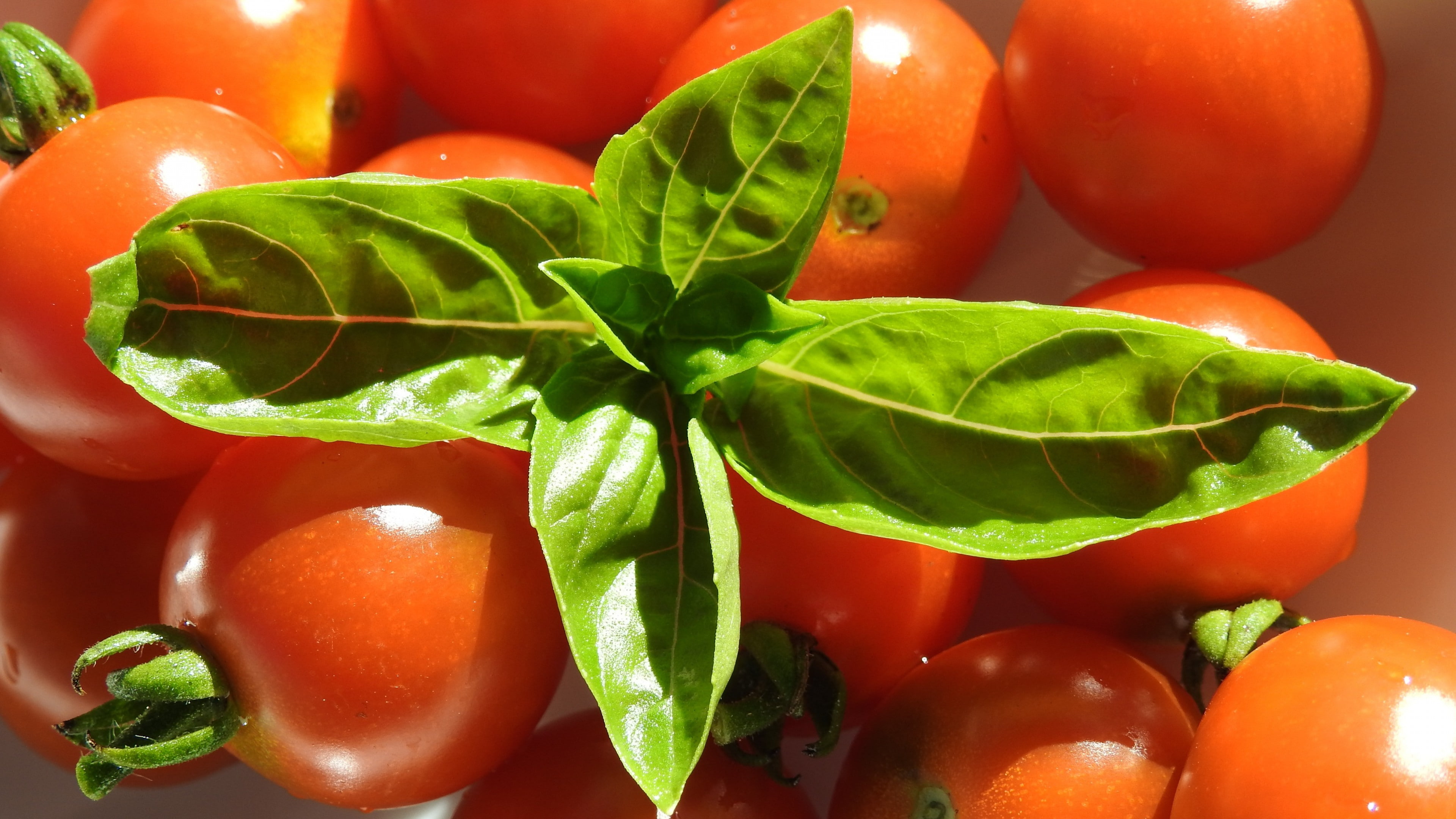 4K, vegetable, nature, indoors, vegetarian food, fruit, leaves, bell pepper, tomato, plant part, wellbeing, leaf, ripe, food and drink, still life, food, HD Wallpaper
