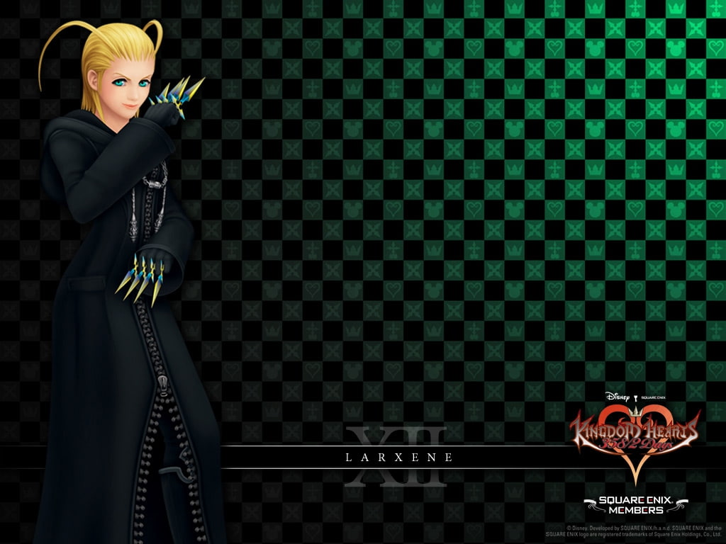 DS, larxene, days, Kingdom, hd, video, hearts, games, art, 480P, HD Wallpaper