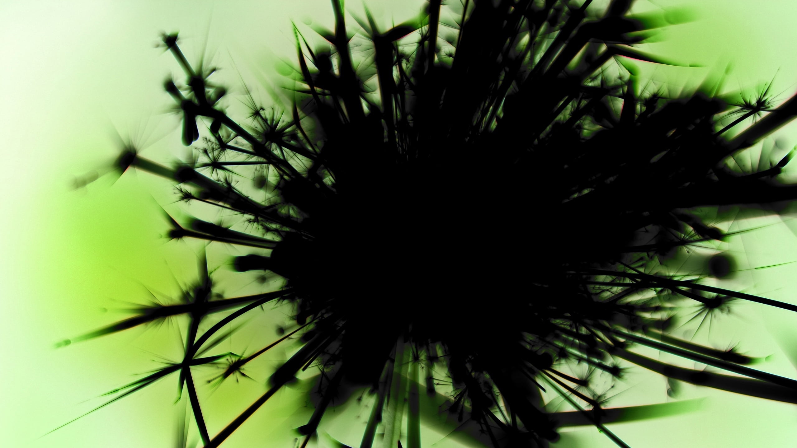 growth, outdoors, black, summer, spiky, dandelion seed, day, selective focus, flower, tree, nature, green color, fragility, flowering plant, freshness, HD Wallpaper