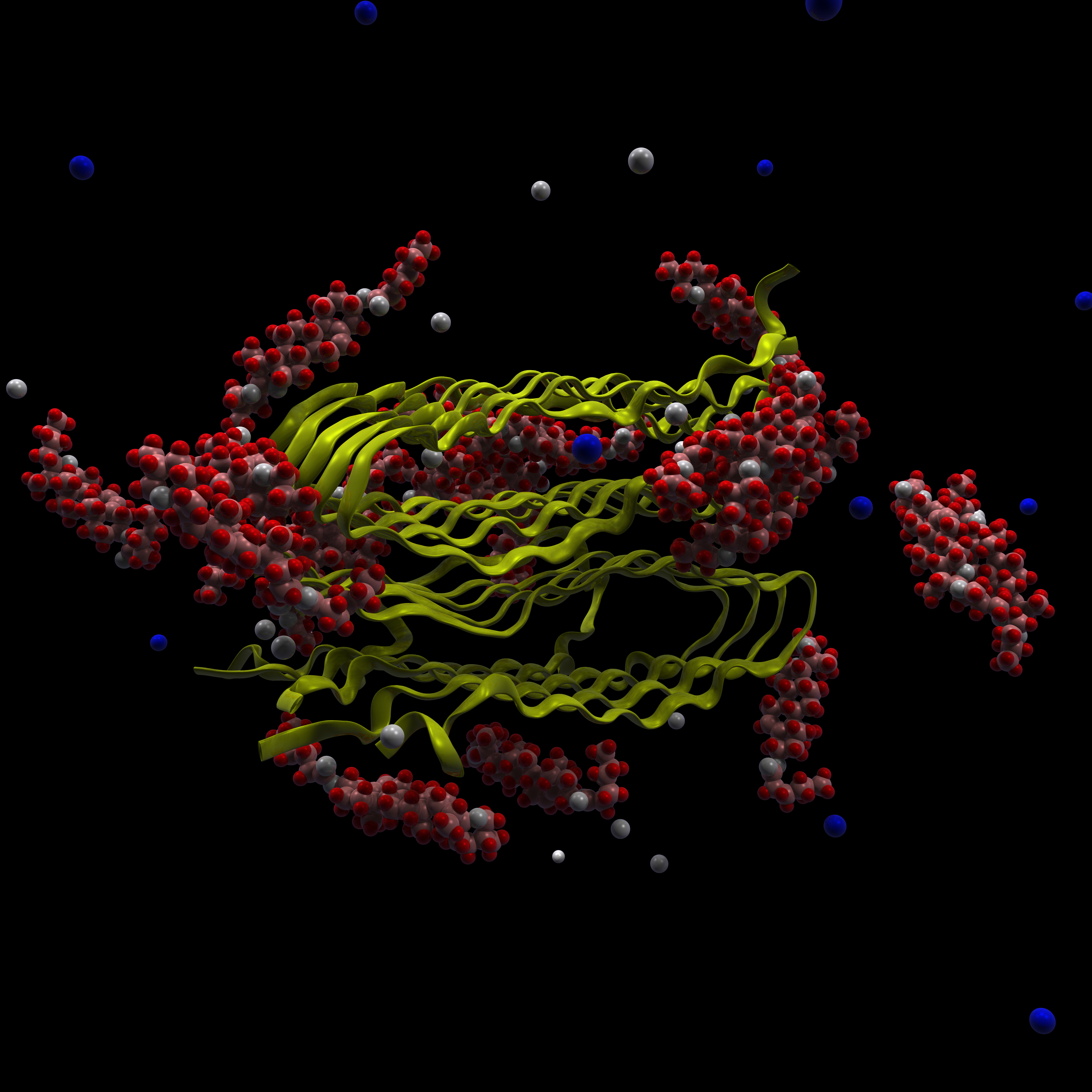microscopic, molecules, 4K, microorganisms, microbiology, Phone HD Wallpaper
