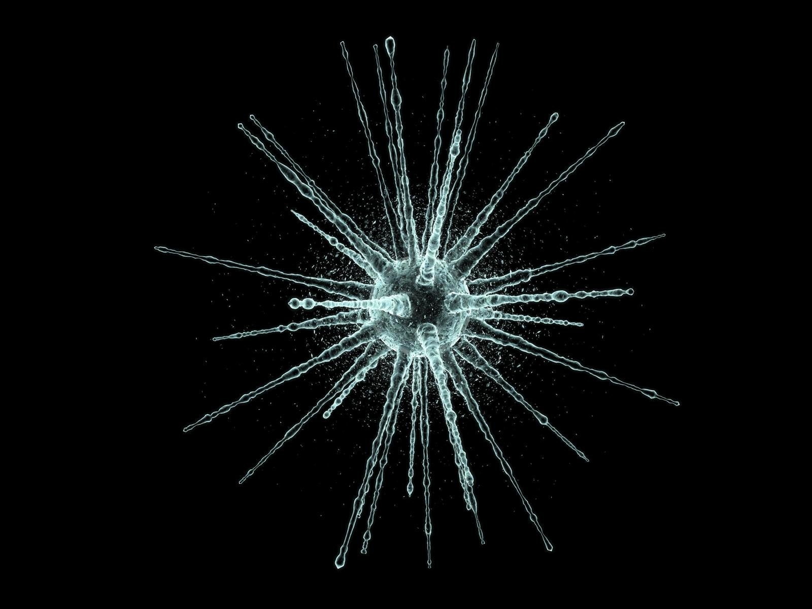 720P, Artistic, white, microorganism, Abstract, HD Wallpaper