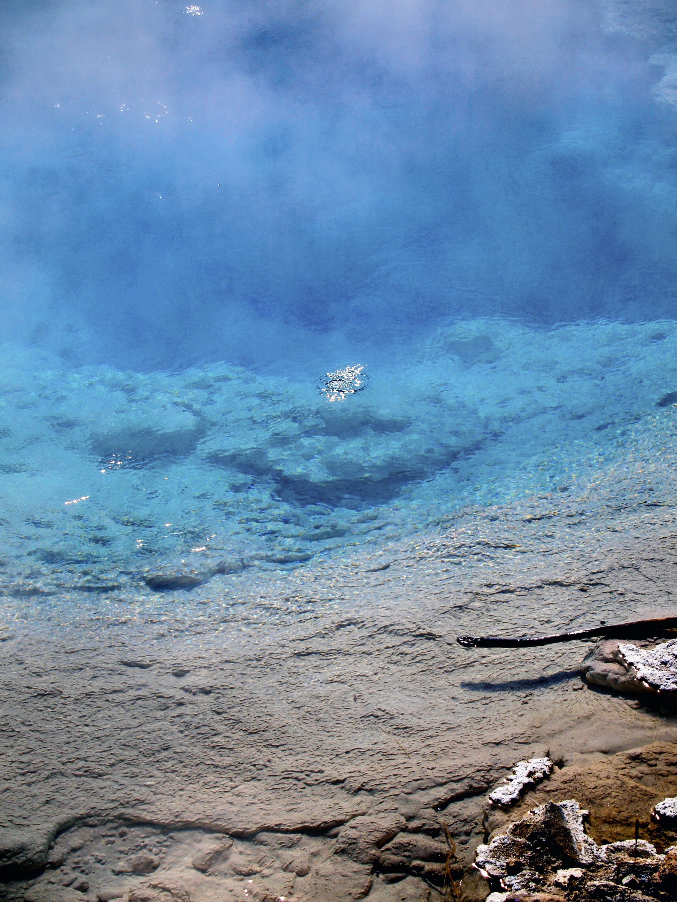 wyoming, landscape, hot, animal, beauty in nature, Blue, sea, turquoise colored, Water, nature, deep, 2K, land, Deep, sulfur, Blue, tranquility, beach, Phone HD Wallpaper