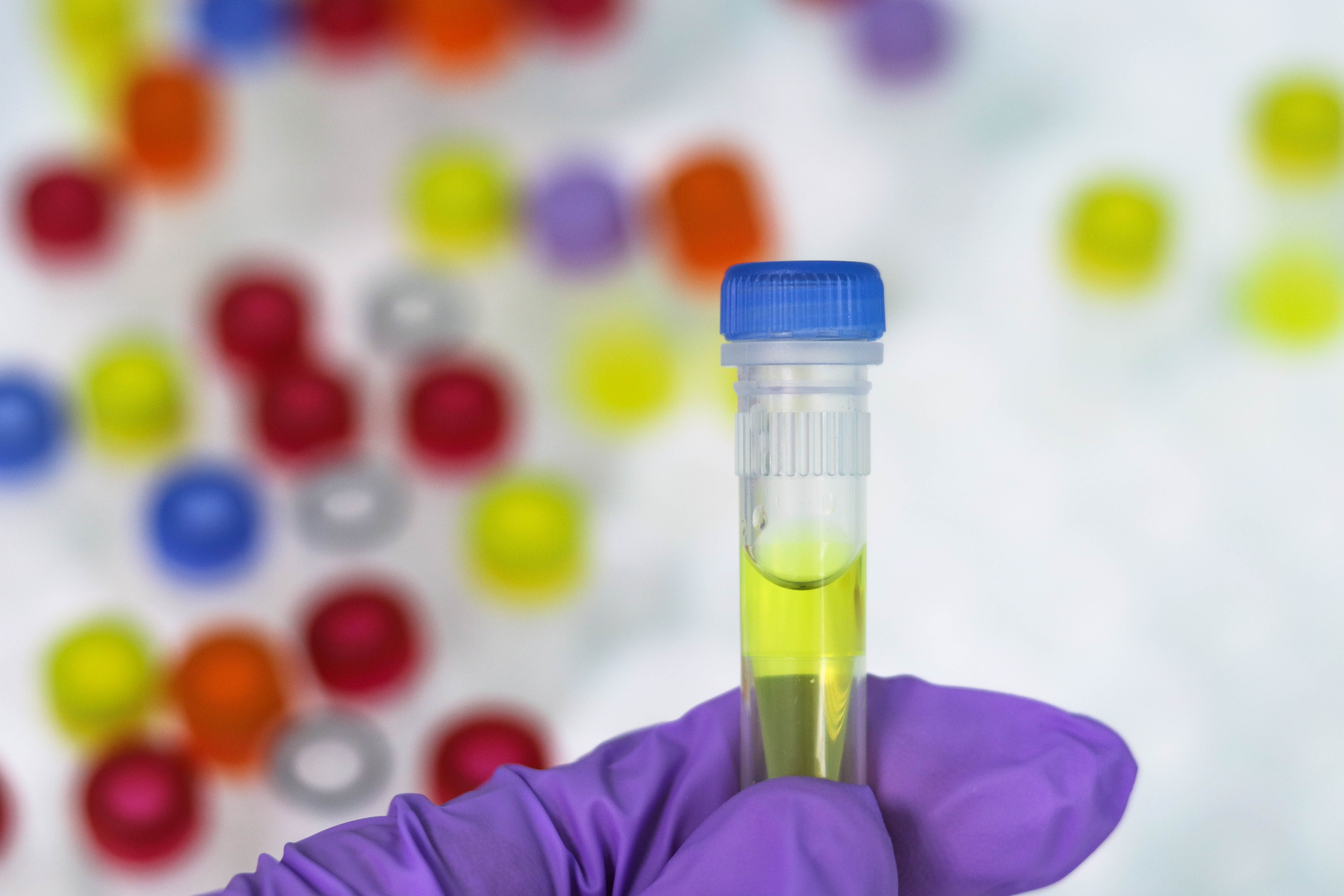 bottle, scientific experiment, focus on foreground, container, healthcare and medicine, laboratory, ingredients, background, disease, real-time pcr, test tube, HD Wallpaper
