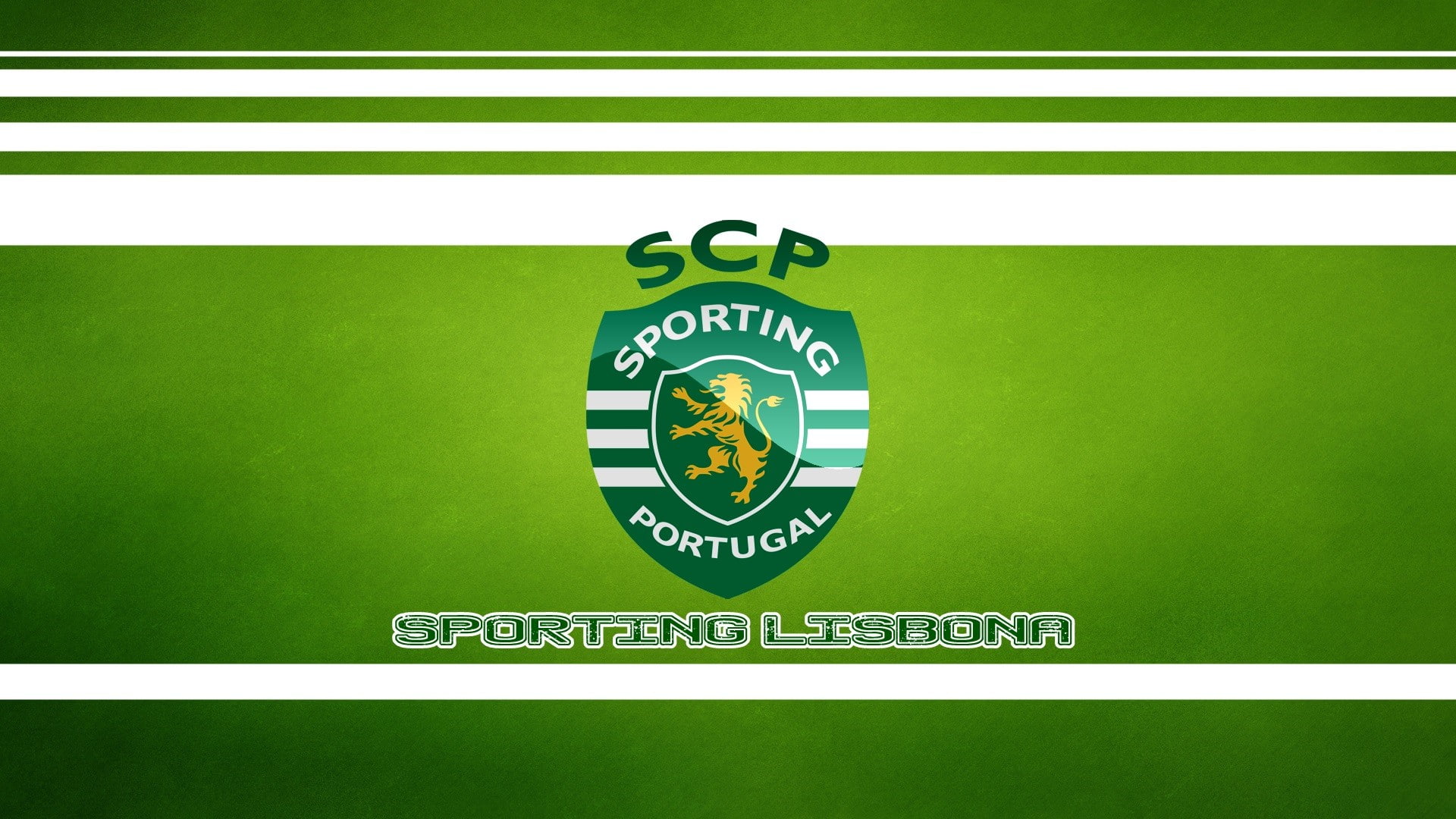 authority, single object, logo, label, close-up, Portugal, medical condition, Sporting Lisbona, green color, sports, healthcare and medicine, communication, HD Wallpaper