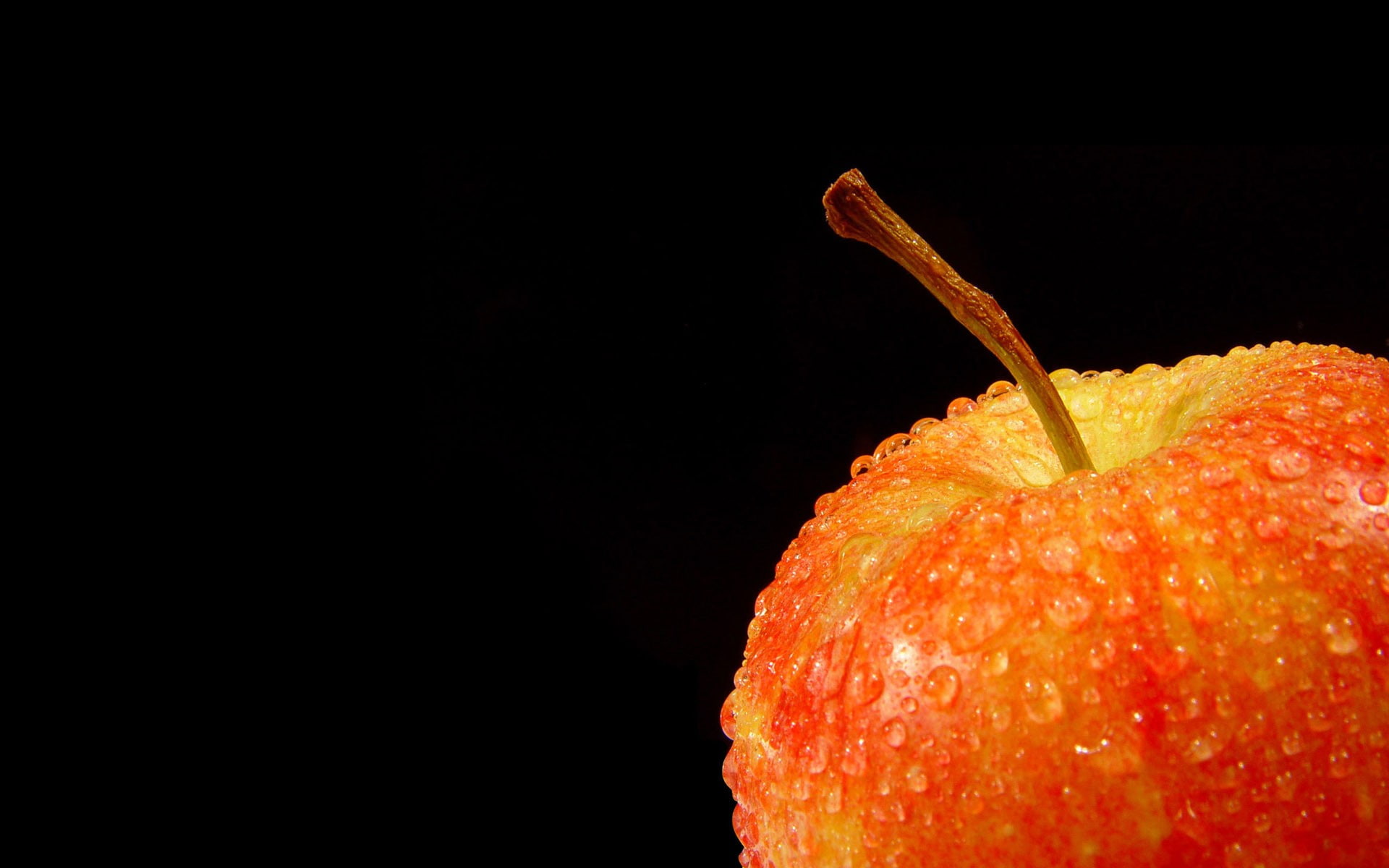 close-up, orange color, wellbeing, red, temptation, food and drink, studio shot, 1080P, water drops, orange, copy space, still life, juicy, single object, HD Wallpaper