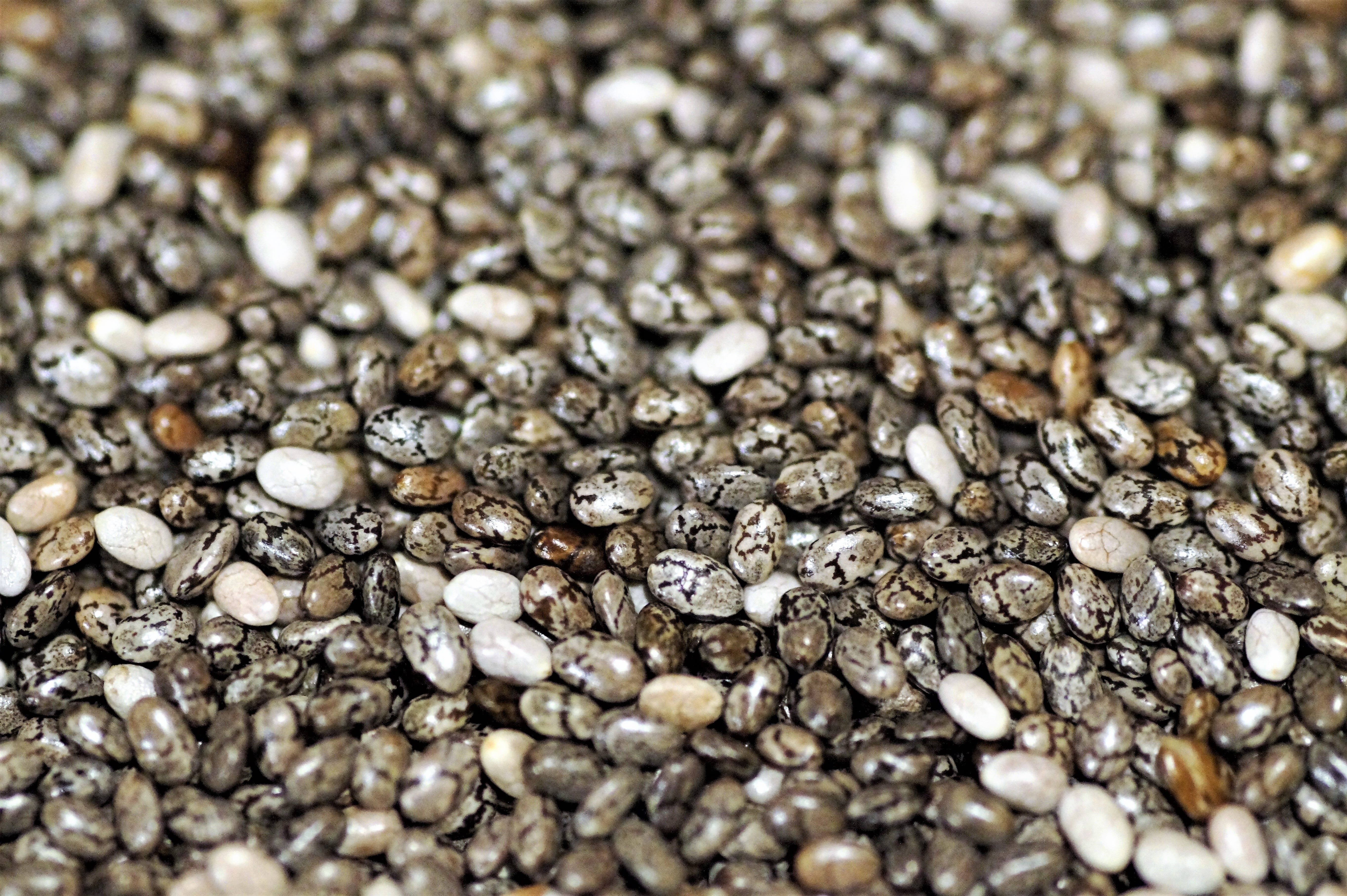 petite, healing, food and drink, gravel, textured, close-up, high angle view, large group of objects, abundance, full frame, healthy, no people, vegetarian, HD Wallpaper