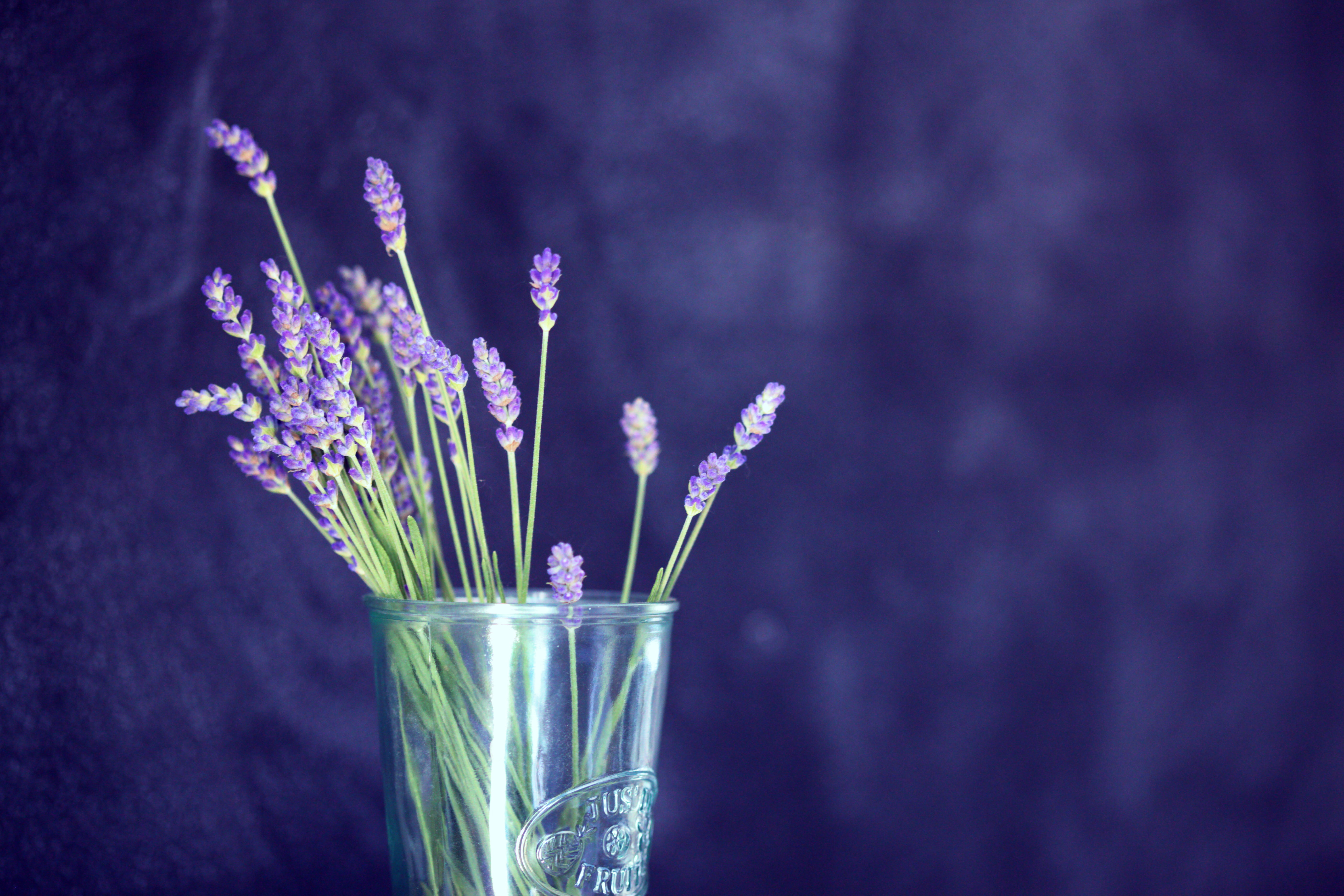 glass, holistic, floral, minimal, purple, floral, vase, calm, fragility, flowering plant, indoors, glass - material, bunch of flowers, HD Wallpaper