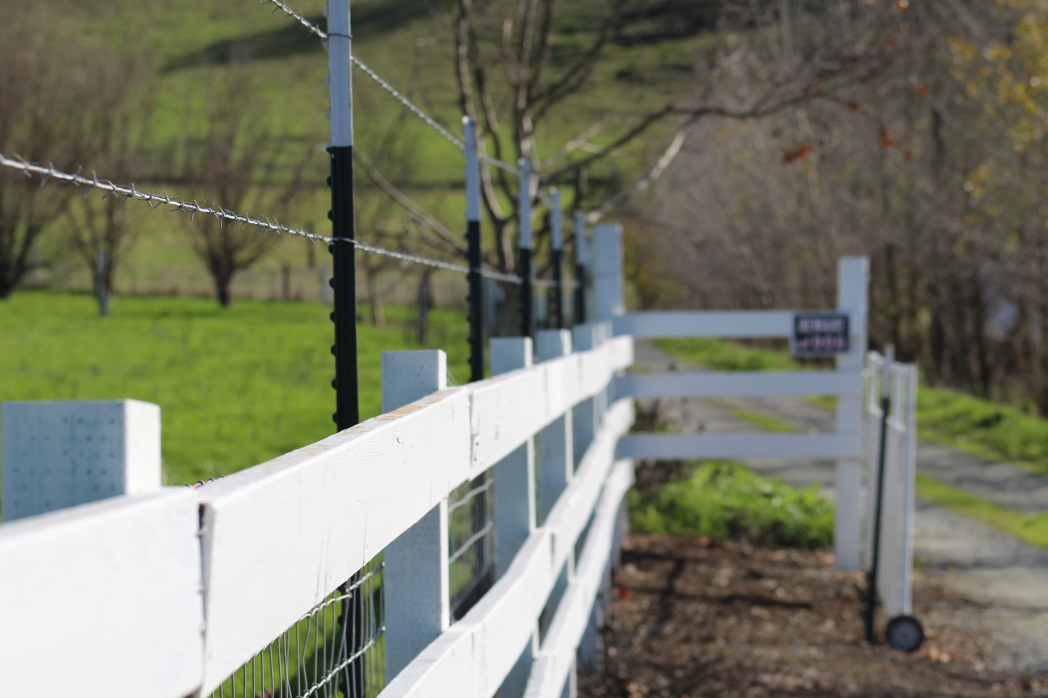 metal, tree, field, barbwire, barrier, white paint, no people, 2K, outdoors, barb wire, farm, protection, architecture, california, painted wood, green color, HD Wallpaper