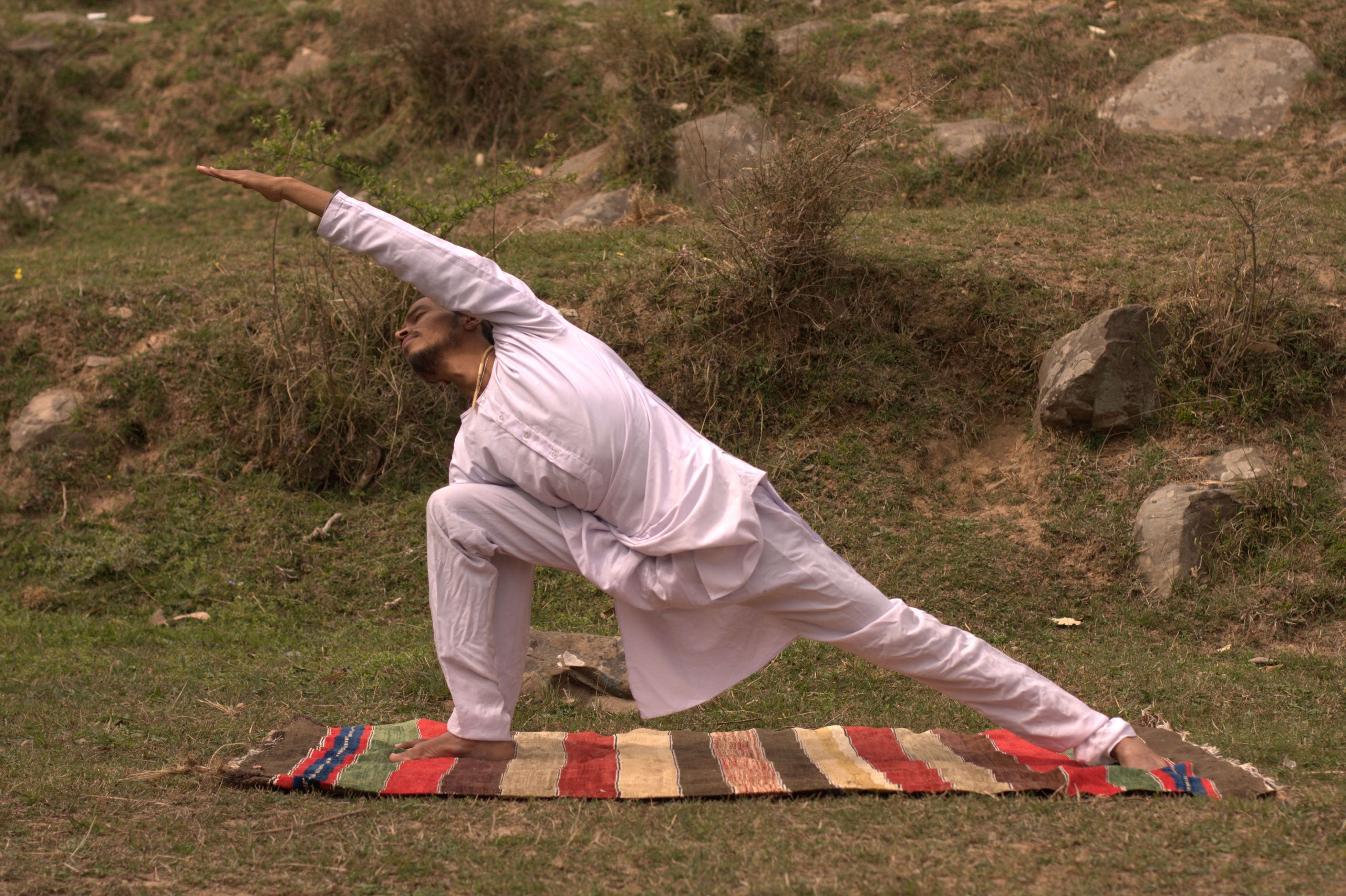 plant, meditation, yogi, activity, outdoors, training, pose, exercise, class, people, gym, leisure activity, clothing, healthy lifestyle, meditating, lifestyle, HD Wallpaper