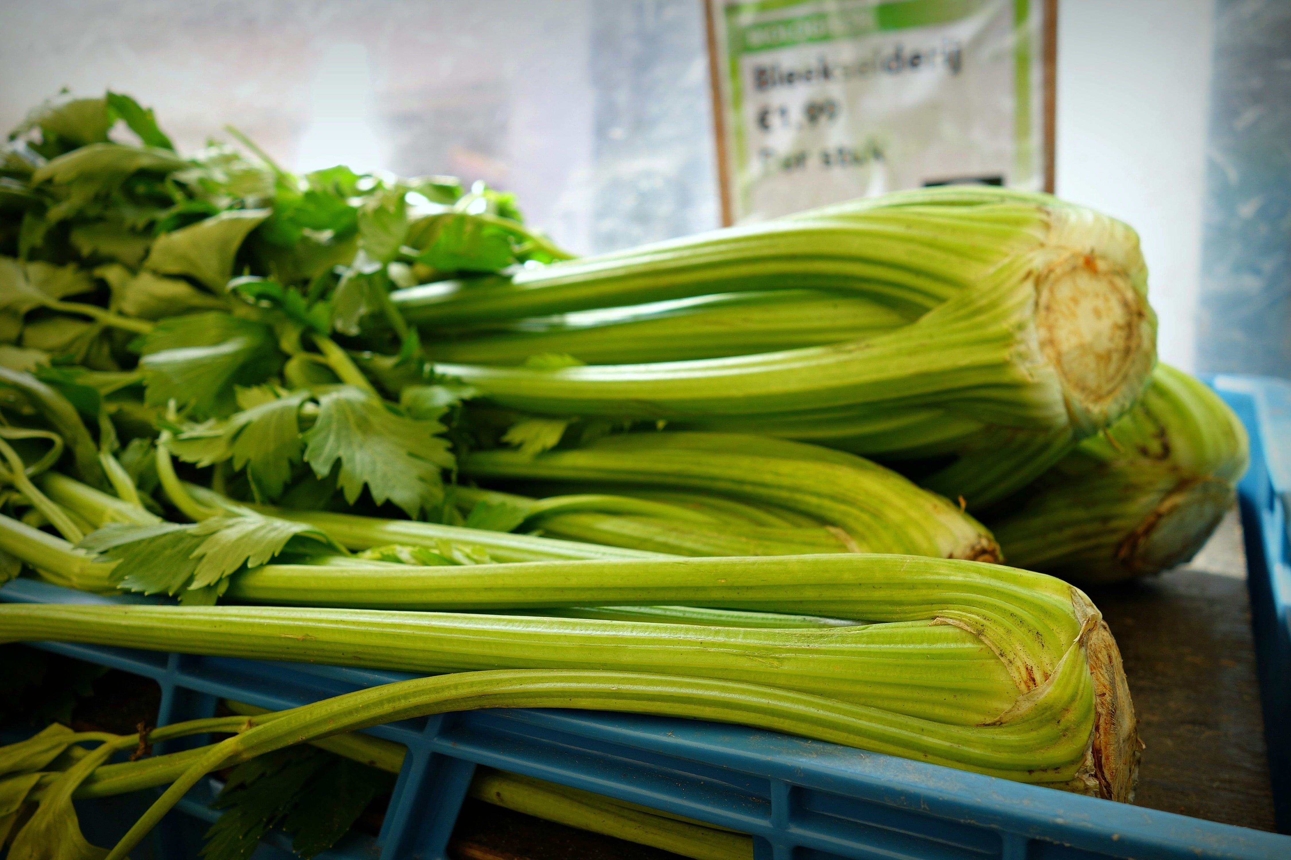 healthy, business, still life, freshness, green, focus on foreground, indoors, rack, cuisine, vegetables, green color, shrub celery, container, close, vitamin, HD Wallpaper