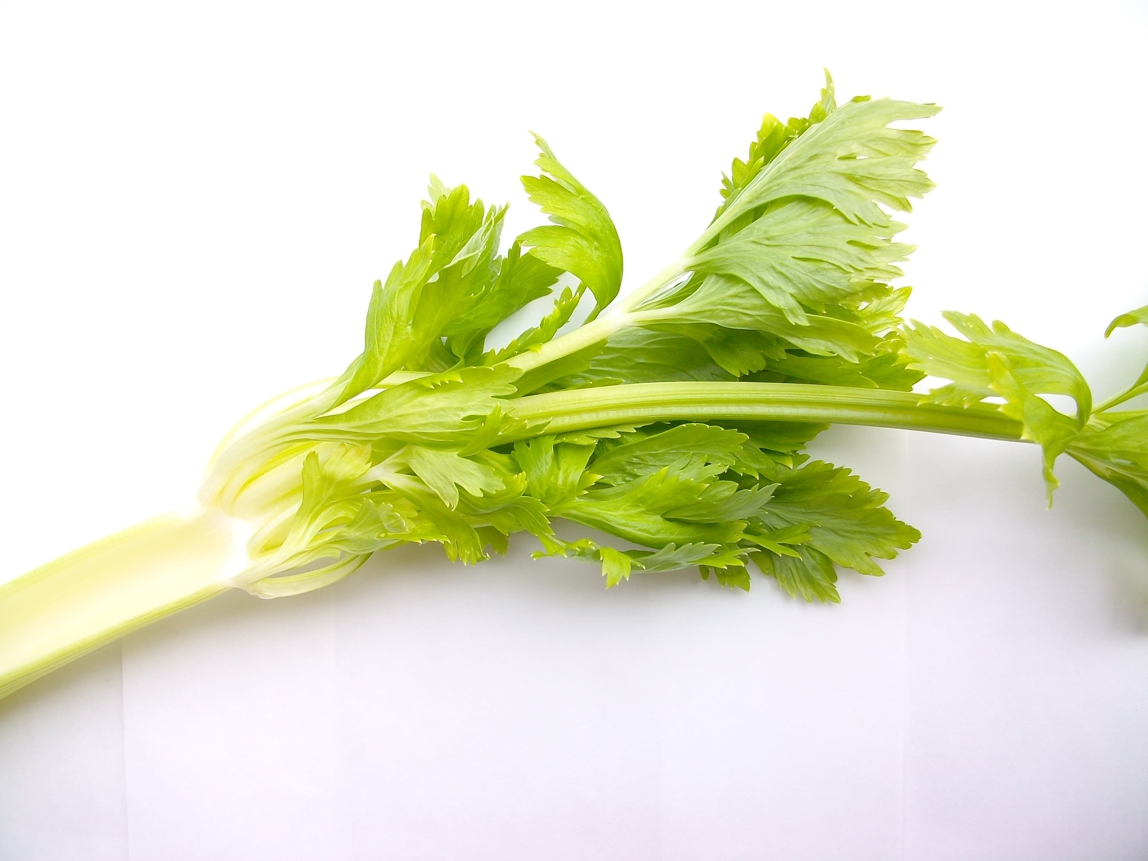 vegetable, freshness, 2K, vegetables, no people, healthy Eating, raw food, celery, groceries, food, vegetarian Food, white background, material, plant, HD Wallpaper