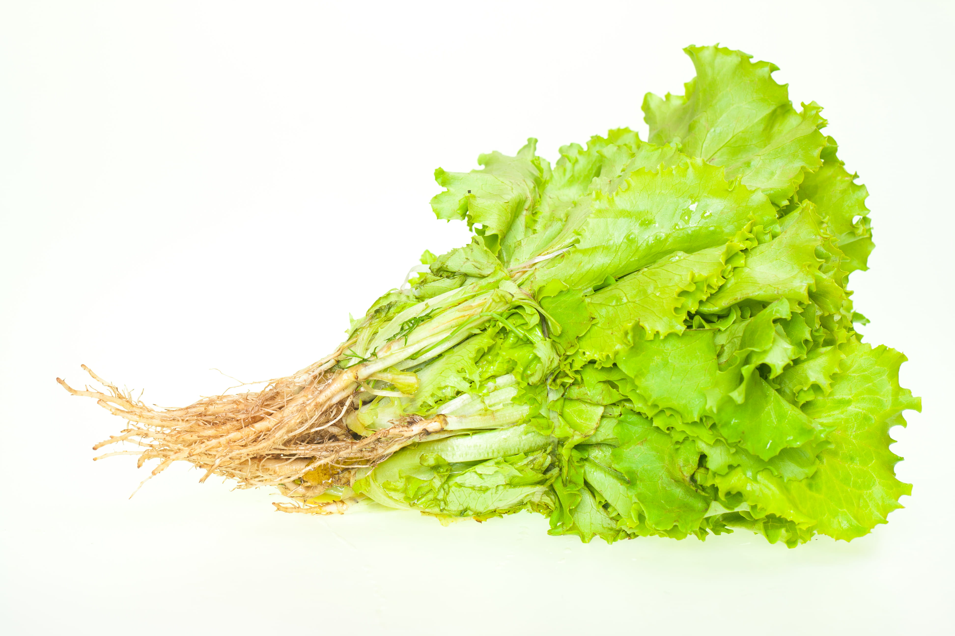 green color, organic, groceries, healthy lifestyle, cut out, dieting, heap, food, vegetable, vegetarian food, wellbeing, raw food, snack, fresh, indoors, HD Wallpaper