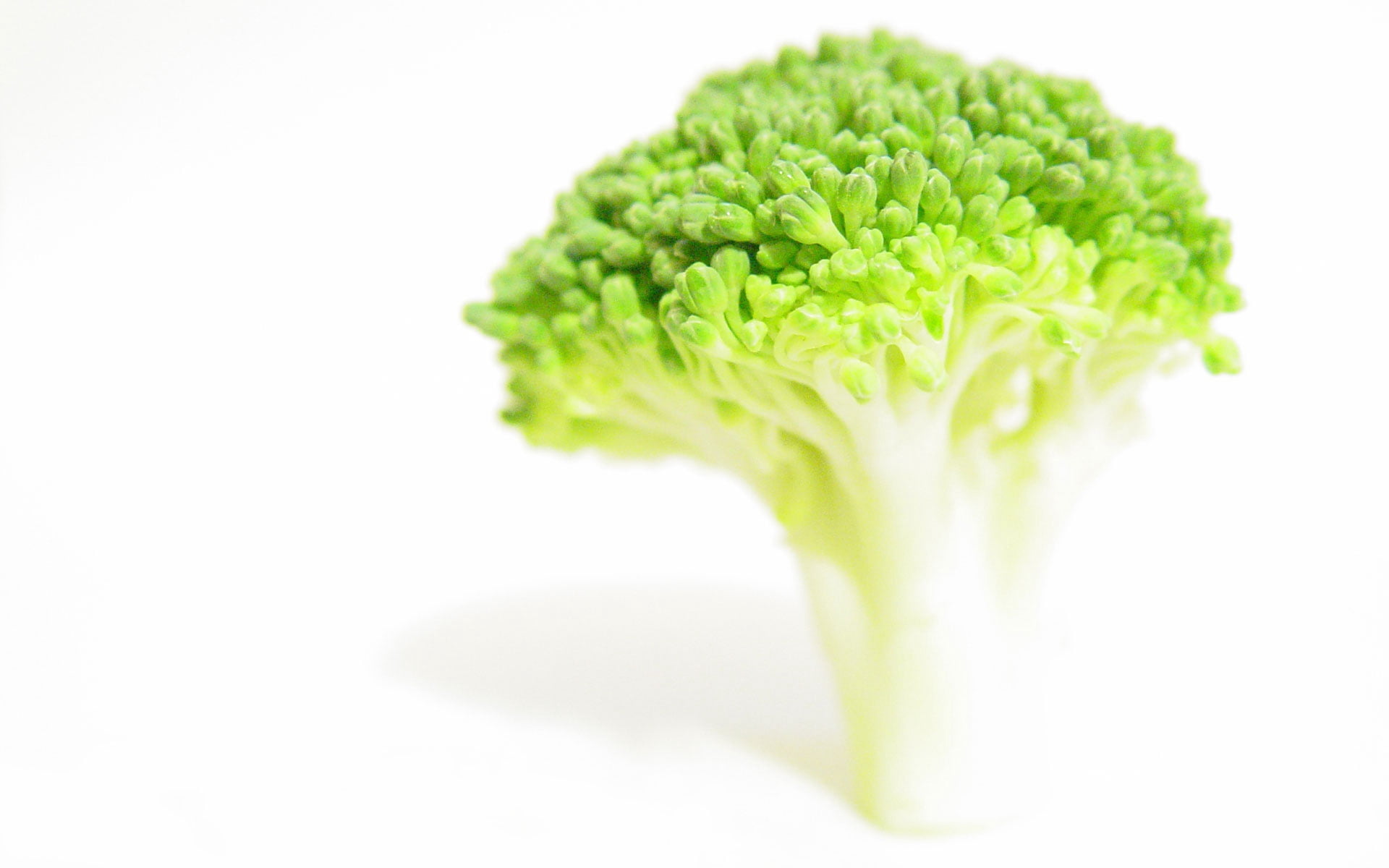 leaf, cut out, indoors, single Object, nature, food, green Color, healthy Eating, wellbeing, salad, healthy lifestyle, close-up, vegetable, gourmet, white, HD Wallpaper
