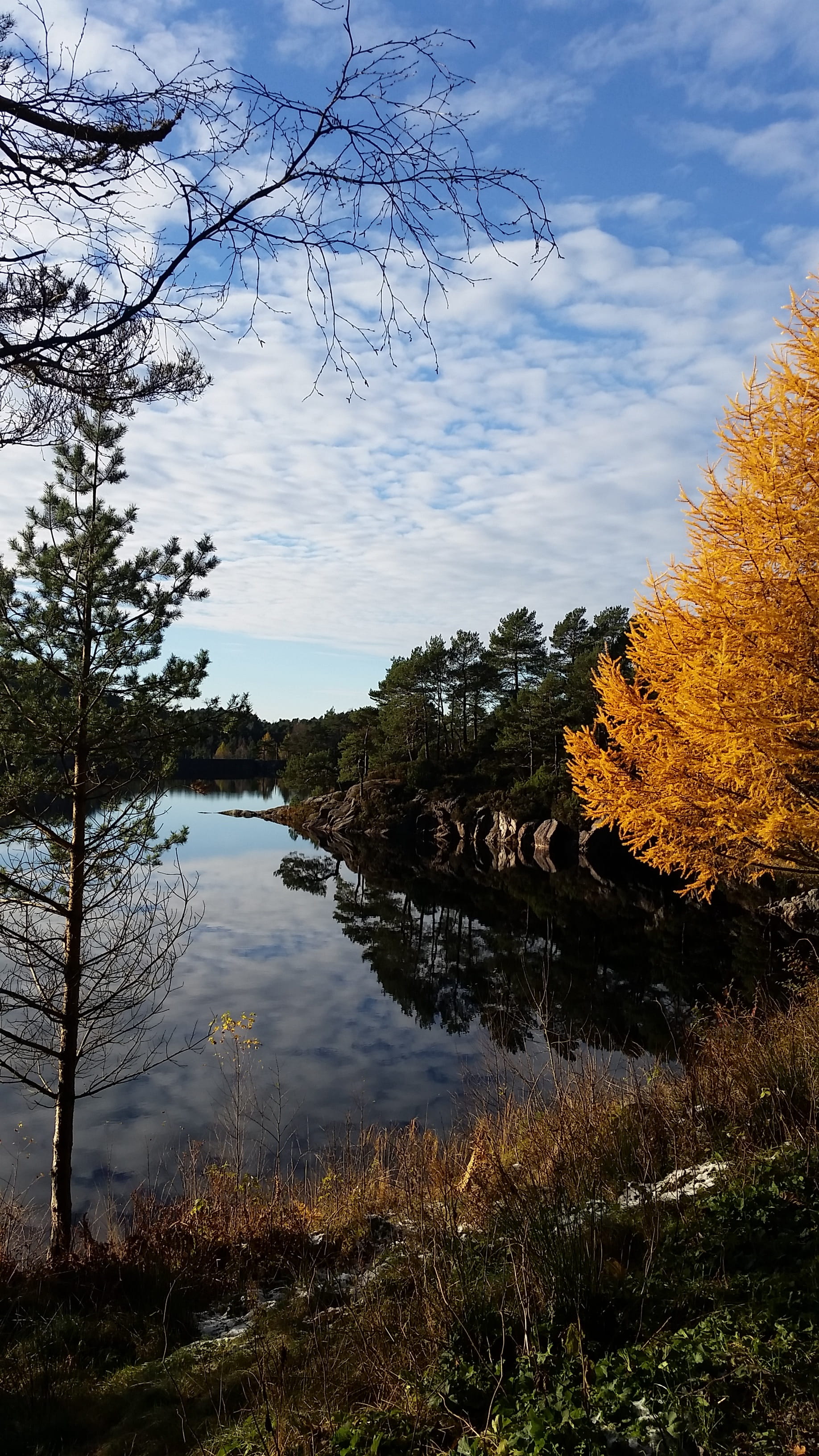 lake, nature, outdoors, scenics - nature, clouds, tree, plant, the nature of the, non-urban scene, sky, change, no people, beauty in nature, 2K, cloud - sky, Phone HD Wallpaper