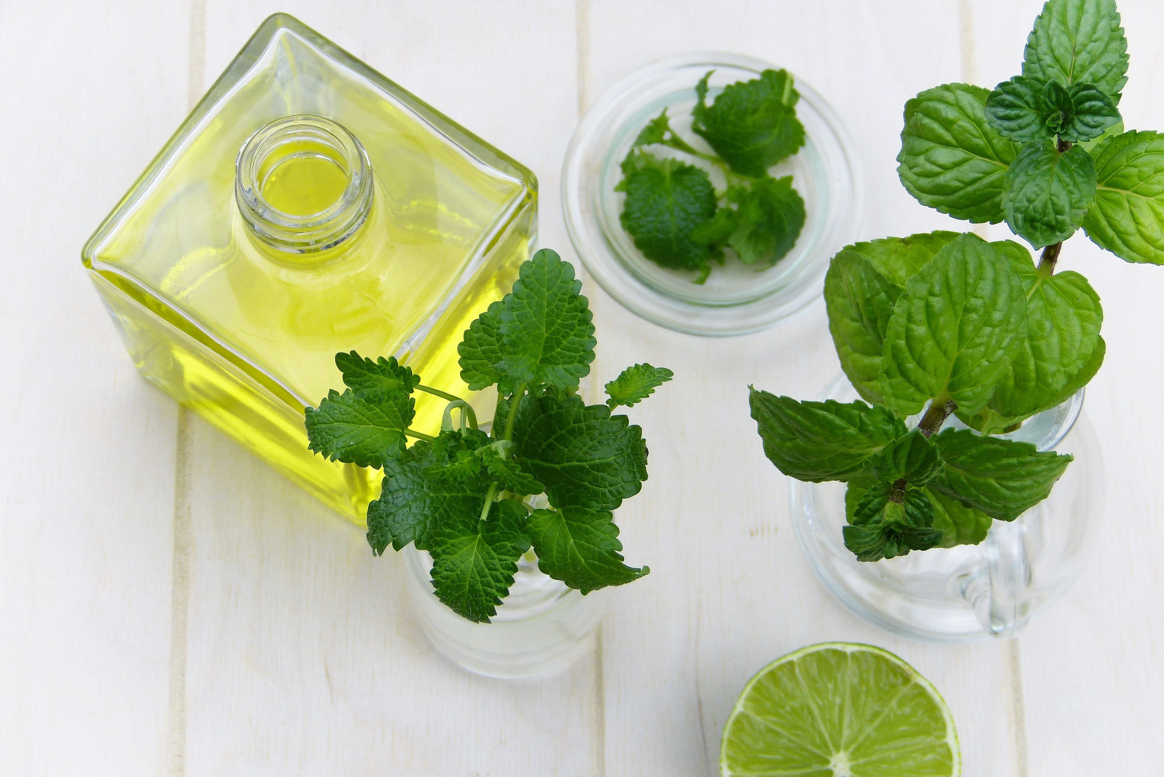 wellness, frisch, lemon, essential oils, freshness, healthy lifestyle, peppermint, immune system, vegetarian food, oil, vitamins, photography, indoors, HD Wallpaper