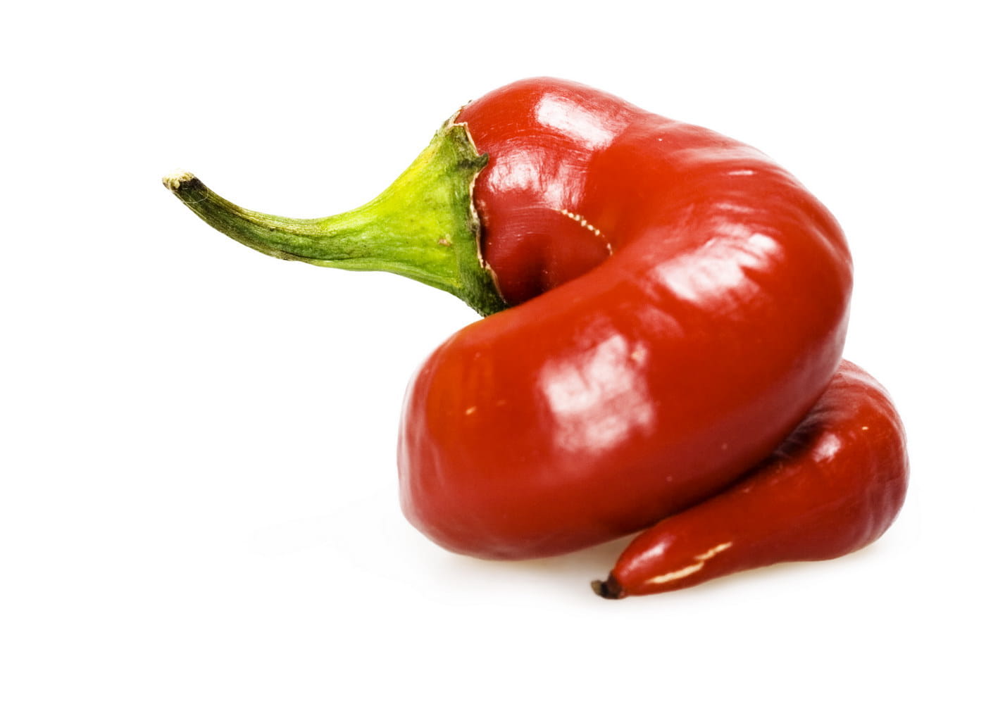 shiny, eating, nutrition, nature, groceries, pepperoni, fresh, vitamin, pepper - vegetable, single object, freshness, bellpepper, sweet, bell, paprika, HD Wallpaper