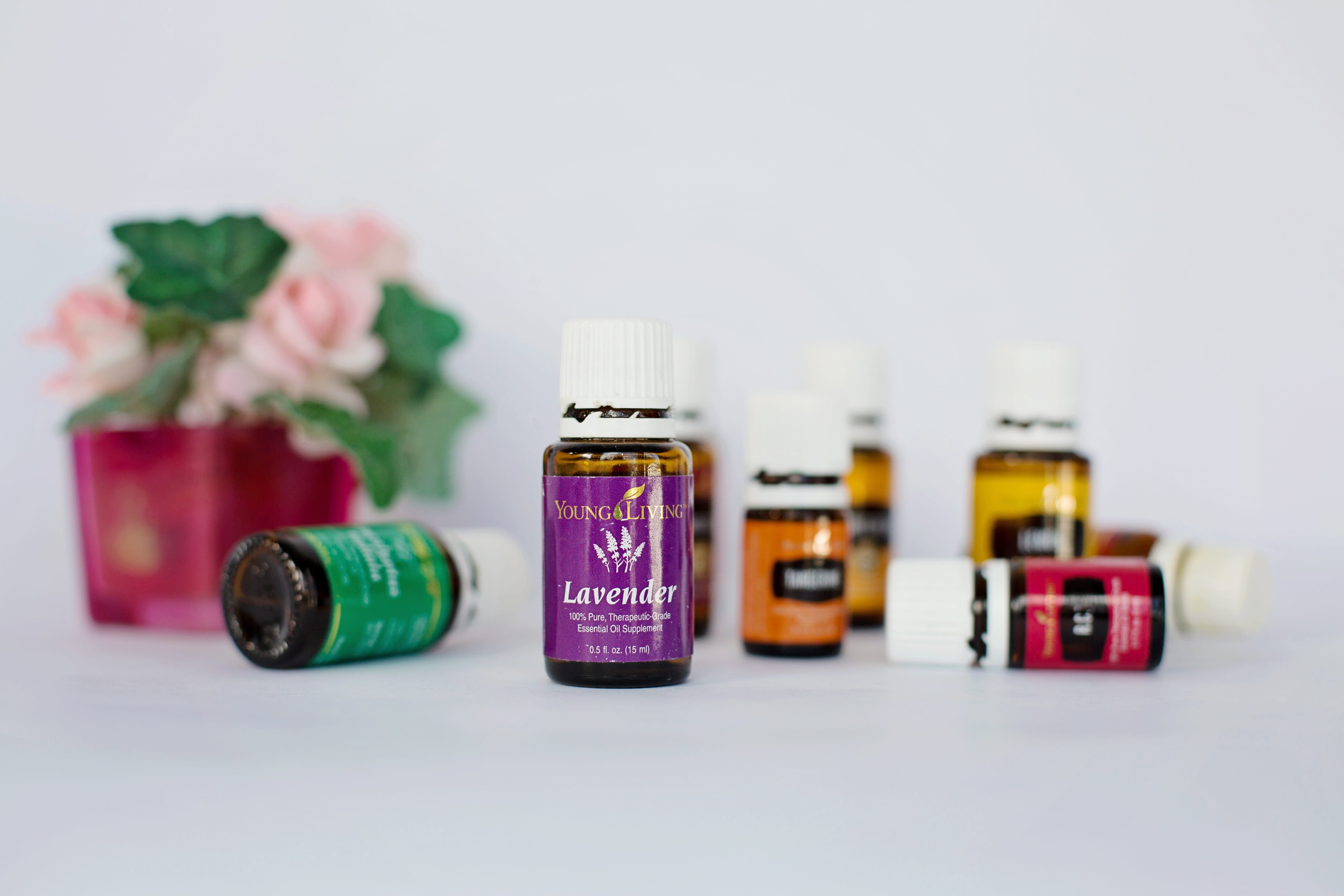 harmony, purple, diffuser, western script, aroma, 5K, healthcare And Medicine, no people, close-up, group of objects, variation, selective focus, spa, HD Wallpaper