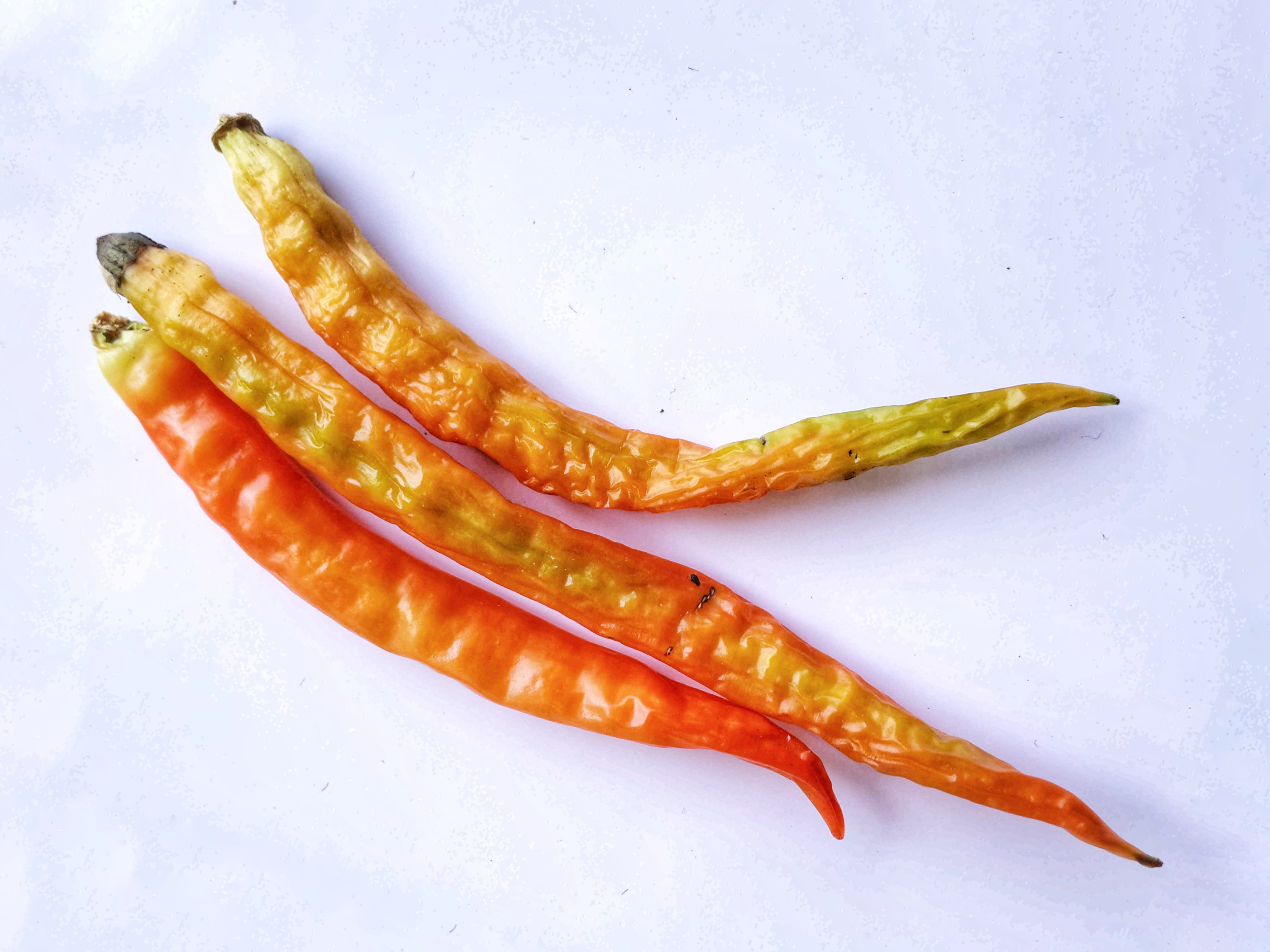 group, pepperoni, capsicum, natural, close, healthy, single object, colorful, studio shot, ingredient, group of objects, pepper, from above, spicy, detail, HD Wallpaper