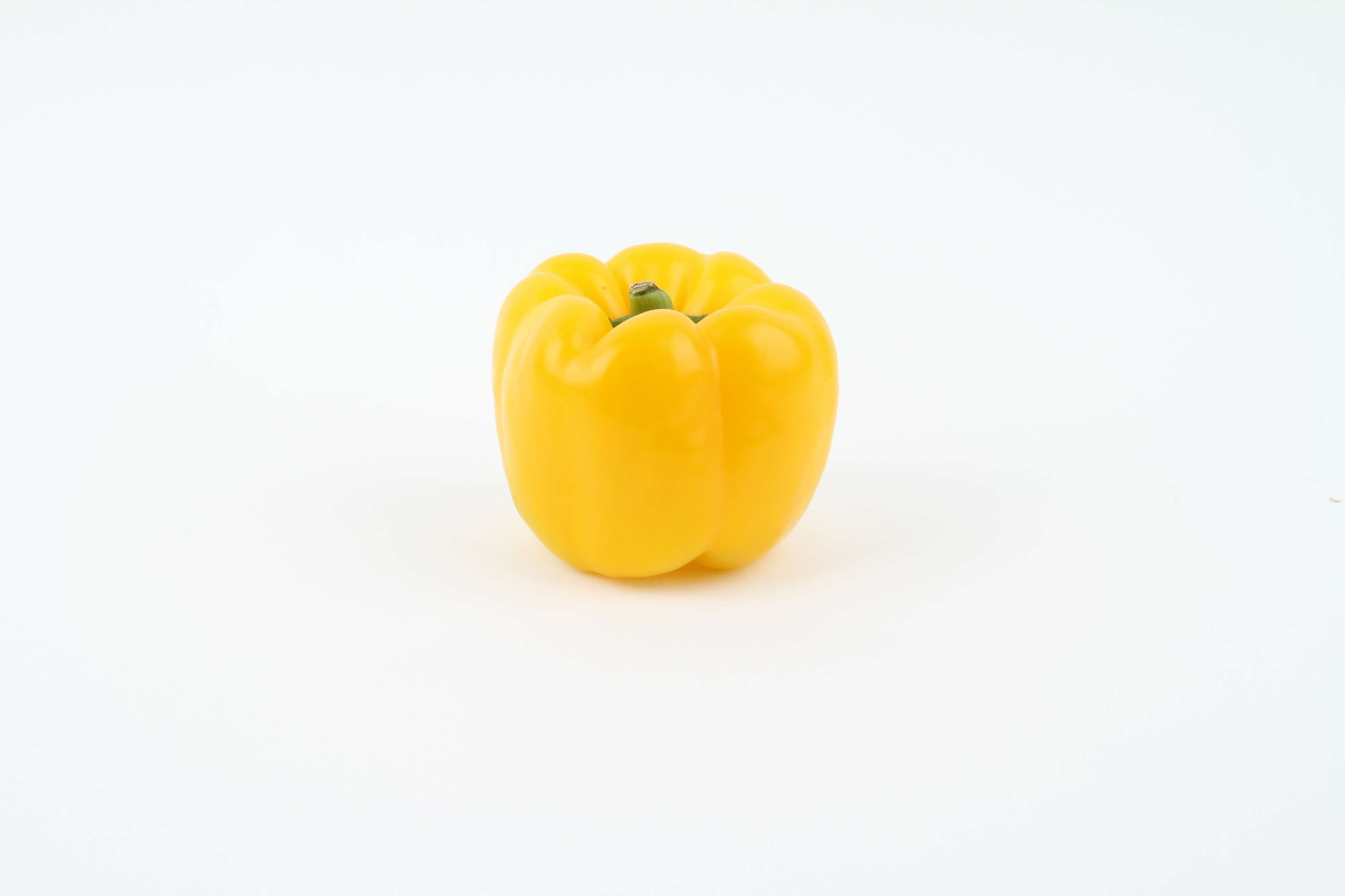 organic, pepper, nutritious, capsicum, simplicity, fruit, 4K, single object, raw food, still life, copy space, healthy, no people, close-up, fresh, vegetable, HD Wallpaper