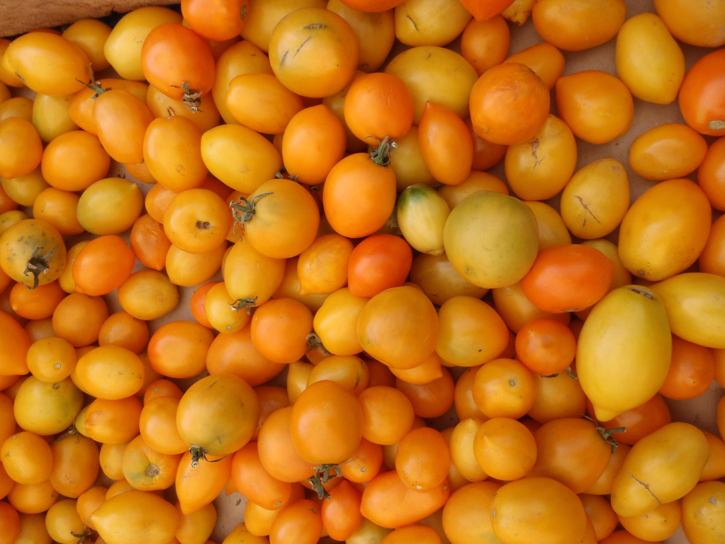 abundance, full frame, close-up, closeup, bright, hot, for sale, agriculture, market stall, nutrition, vegetable, isolated, diet, farmers, fresh, kitchen, HD Wallpaper