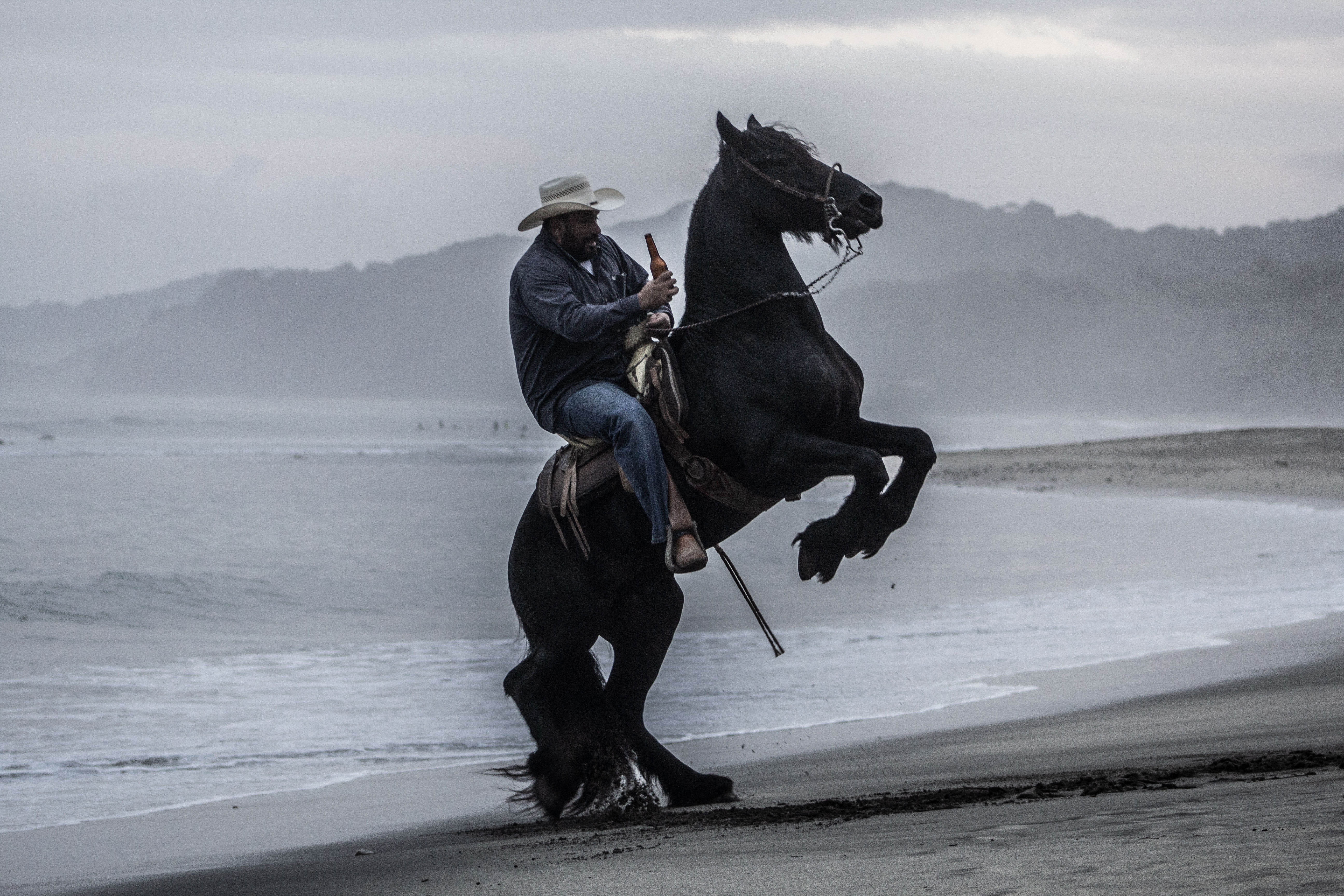 riding, seashore, near, sayulita, 5K, rodeo, water, animal wildlife, black, livestock, person, horse, clothing, pets, nature, beauty in nature, herbivorous, HD Wallpaper