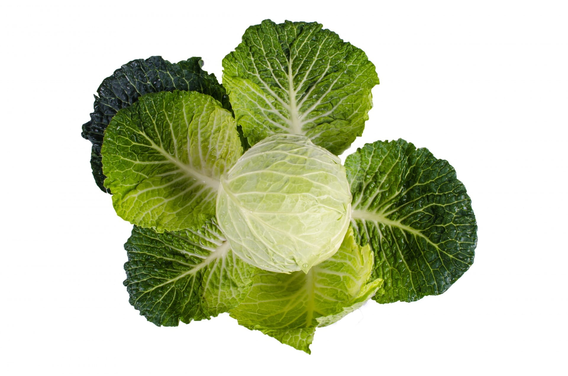 kale, wellbeing, cabbage, green Color, ingredient, green, foliage, vegetable, nobody, plant part, image, white Background, close-up, still life, cut out, HD Wallpaper