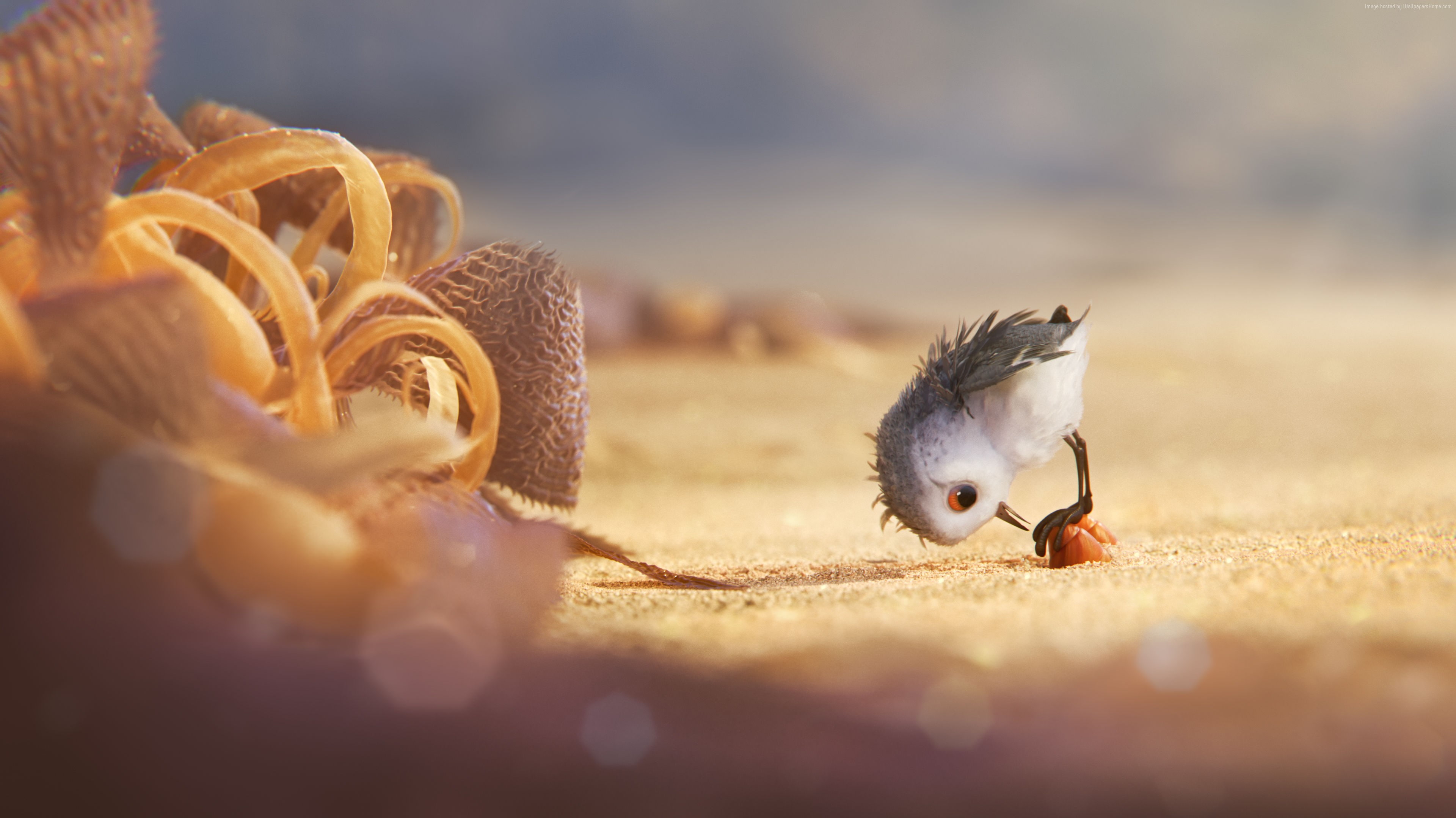 Piper, 4K, bird, pixar, HD Wallpaper