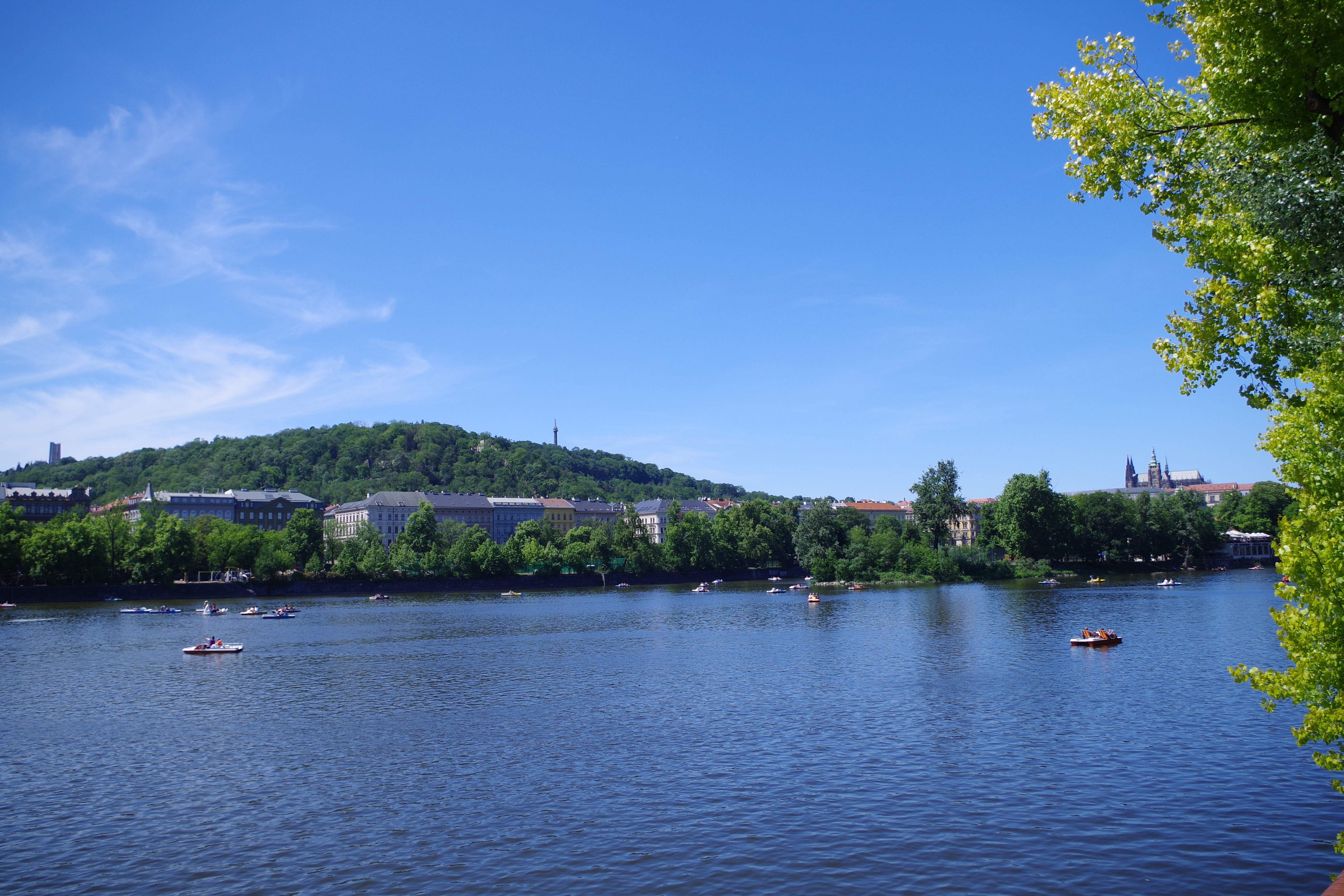 panorama, idyllic, 5K, plant, historically, leisure, blue, tree, water, vacations, czech republic, historic center, river, landmark, non-urban scene, places of interest, HD Wallpaper