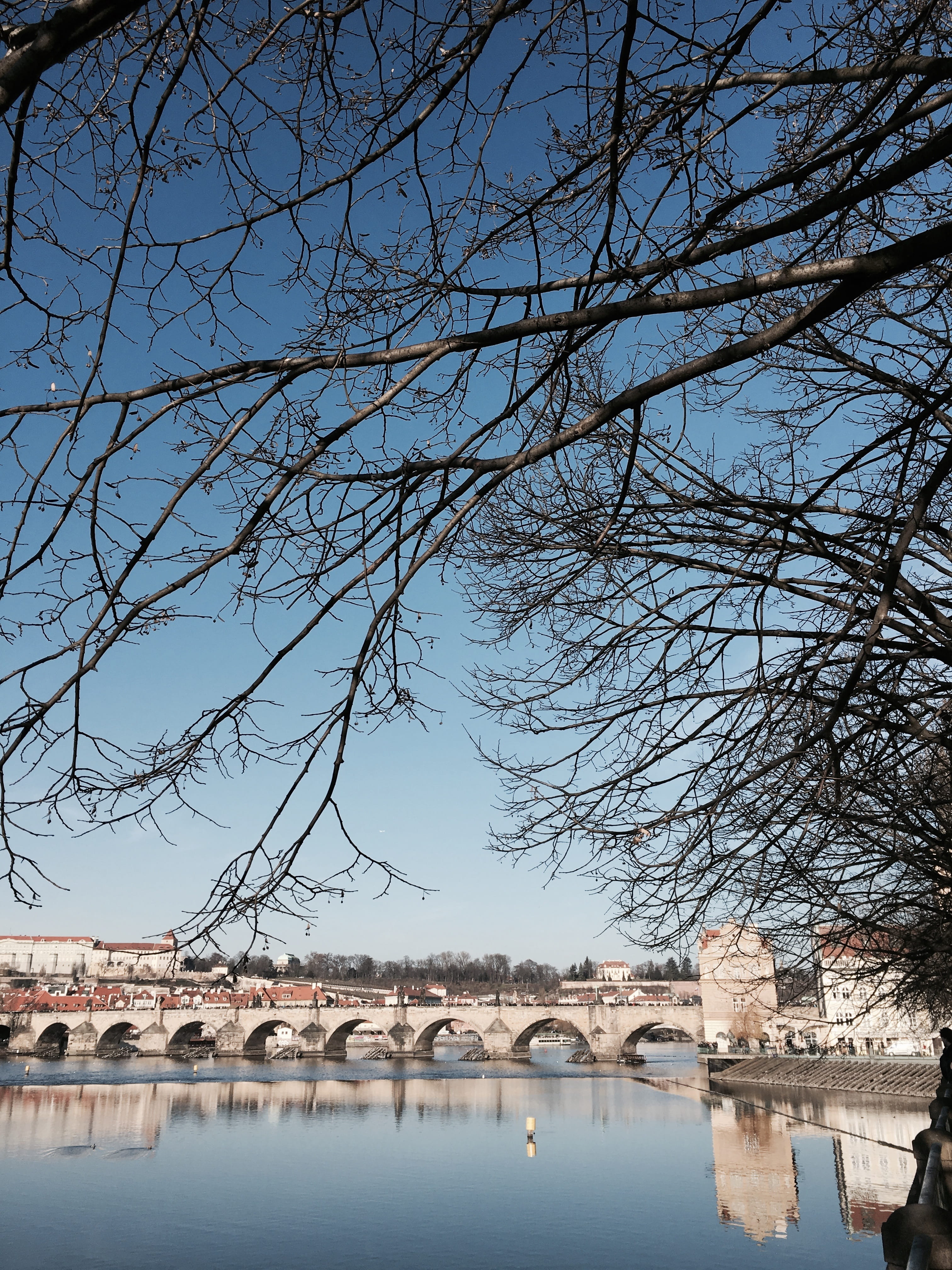 bare tree, city, clouds, tree, no people, bridge, water, reflection, blue, nature, bridge - man made structure, Sky, plant, sky, arch bridge, Prague, building exterior, Phone HD Wallpaper