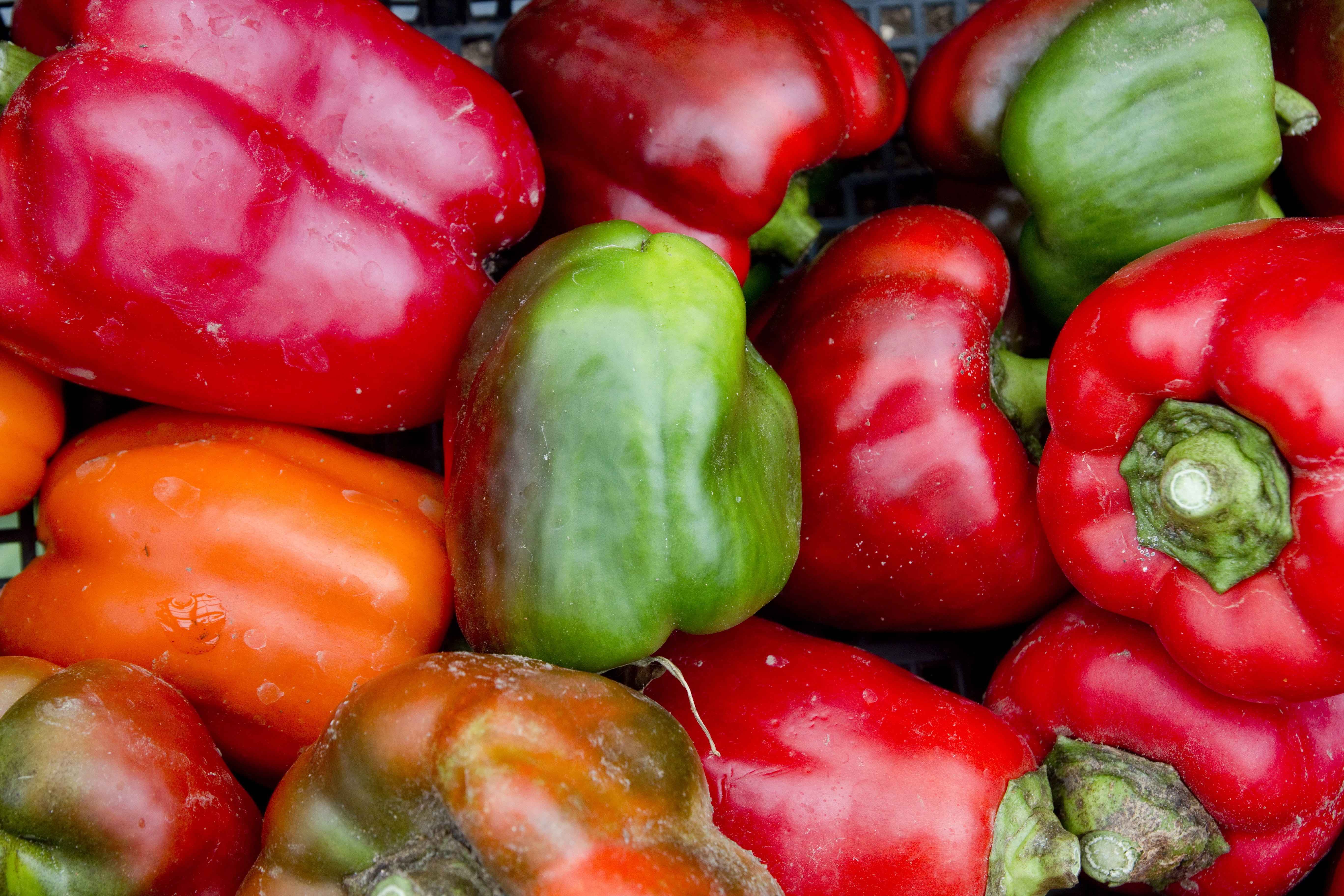pepper, park, colored, healthy, organic, backgrounds, market, Nutrition, bell, many, natural, yellow, chili, full frame, abundance, vegetarian, fruit, indoors, HD Wallpaper