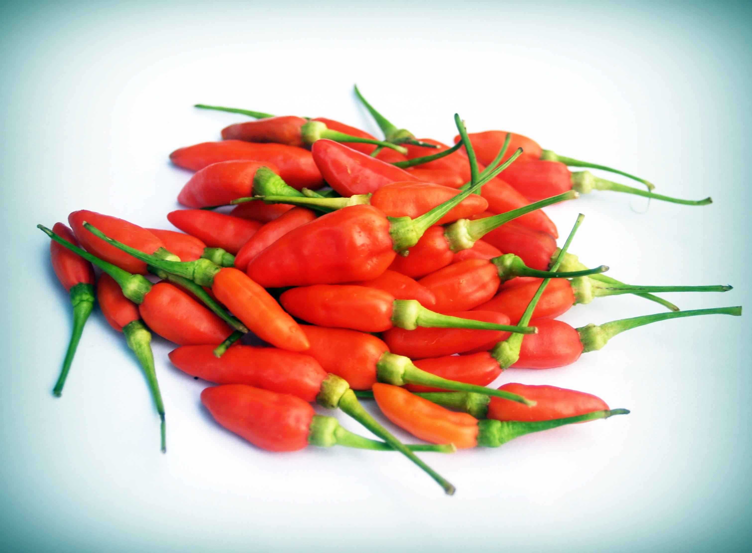 Paprika, no People, Hot, cook, green, red chili pepper, pile, detail, spice, vegetable, capsaicin, isolated, eating, freshness, ingredient, bell, fresh, HD Wallpaper
