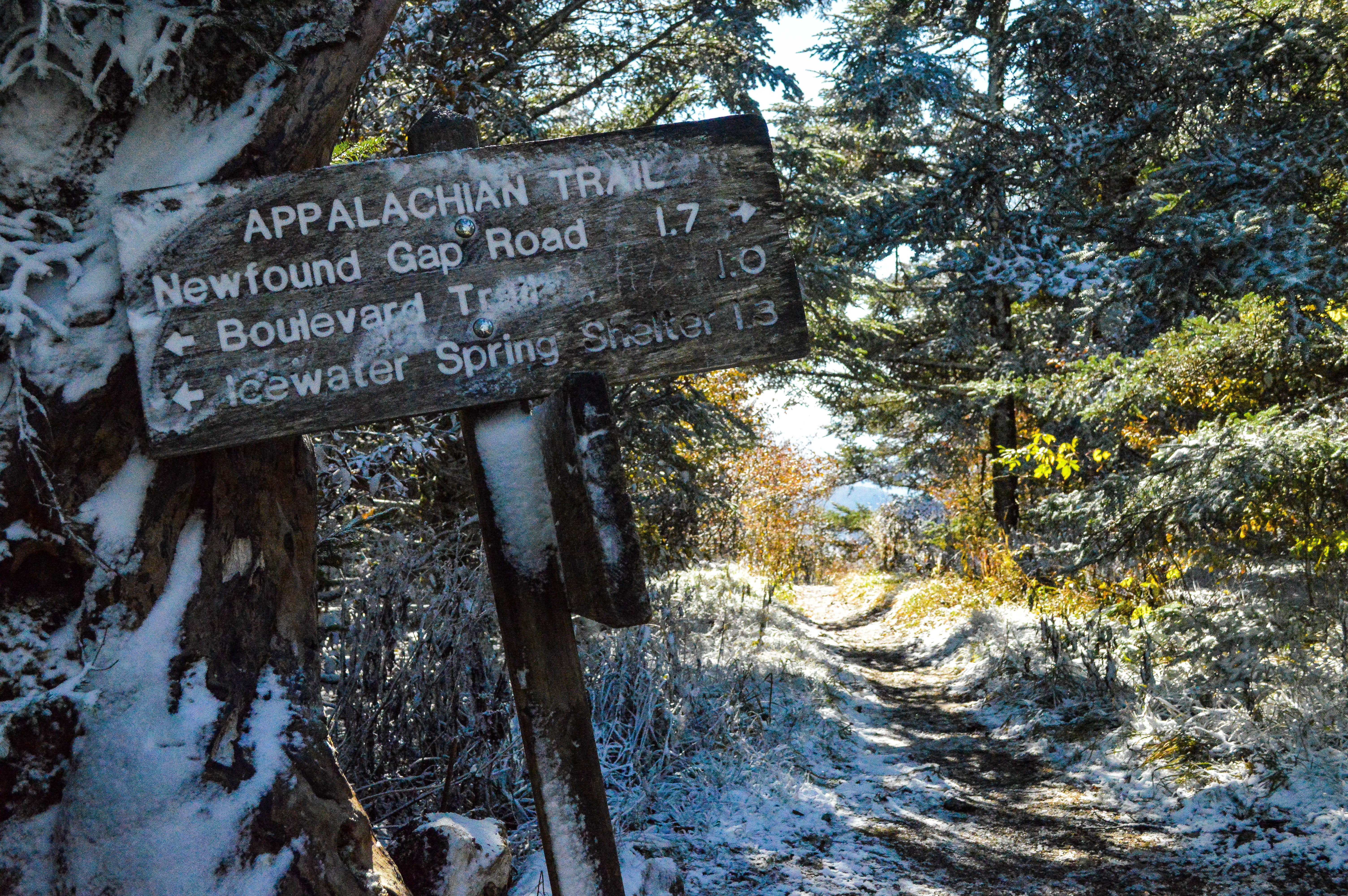 winter, non-western script, outdoors, western script, sign, water, appalachian trail, no people, information sign, nature, day, great smoky mountains, plant, HD Wallpaper