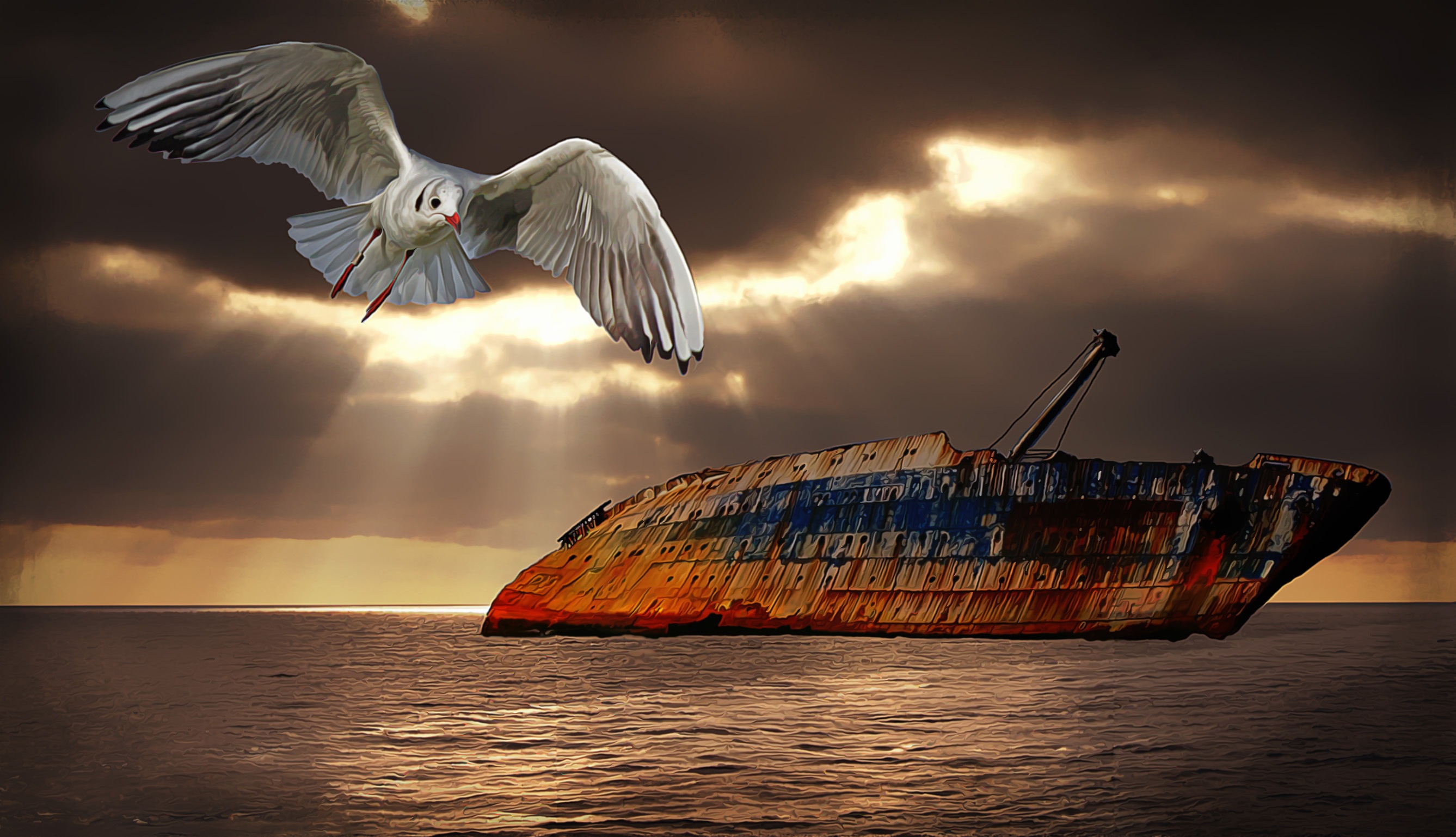 boat tails, frachtschiff, sinking, nautical vessel, one animal, animal wildlife, nature, frack, water, seagull, lighting, transportation, digital art, animals in the wild, HD Wallpaper