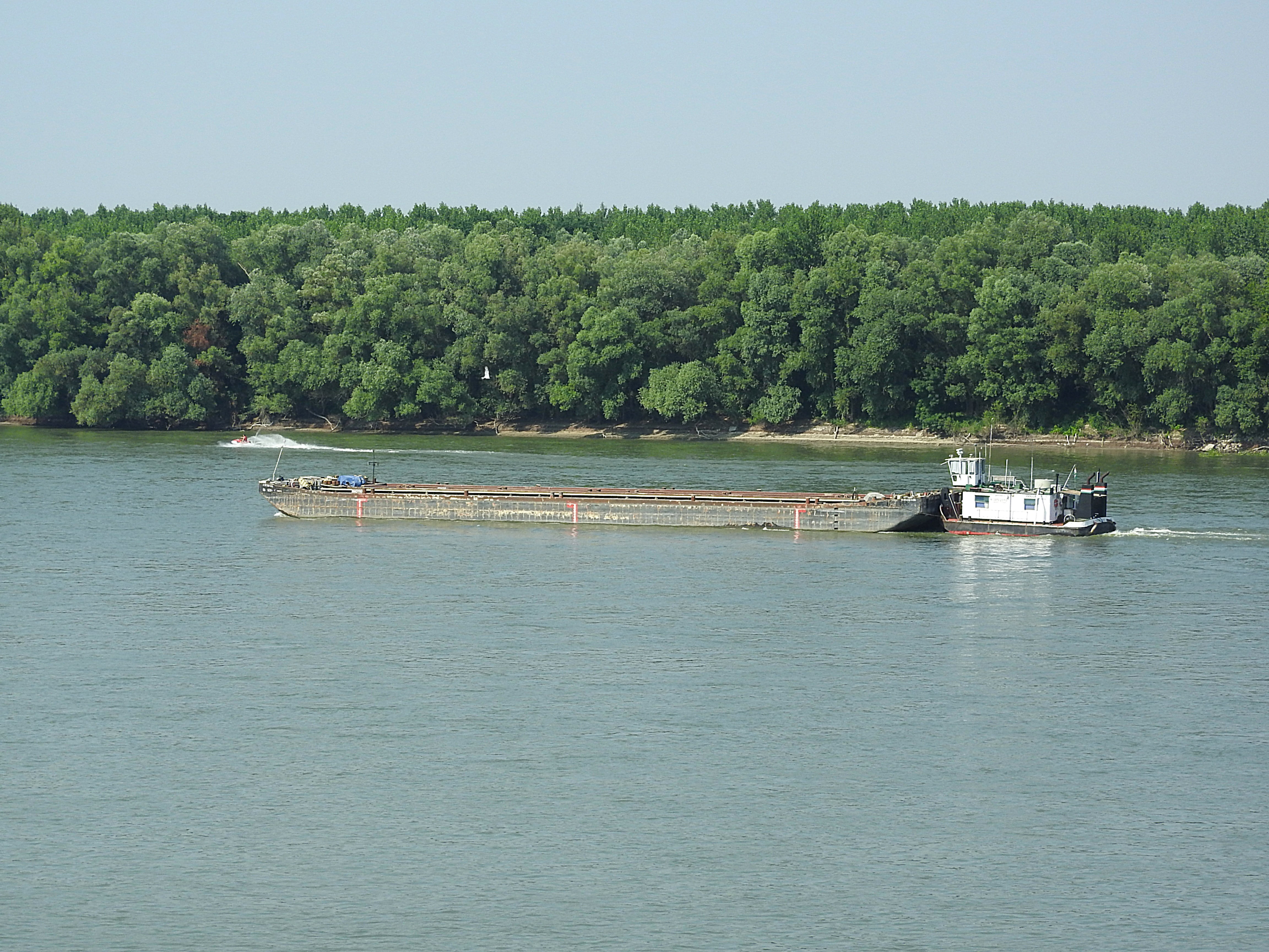 tree, ship, outdoors, 4K, plant, river, scenics - nature, frachtschiff, nature, green color, no people, tranquil scene, beauty in nature, transportation, HD Wallpaper