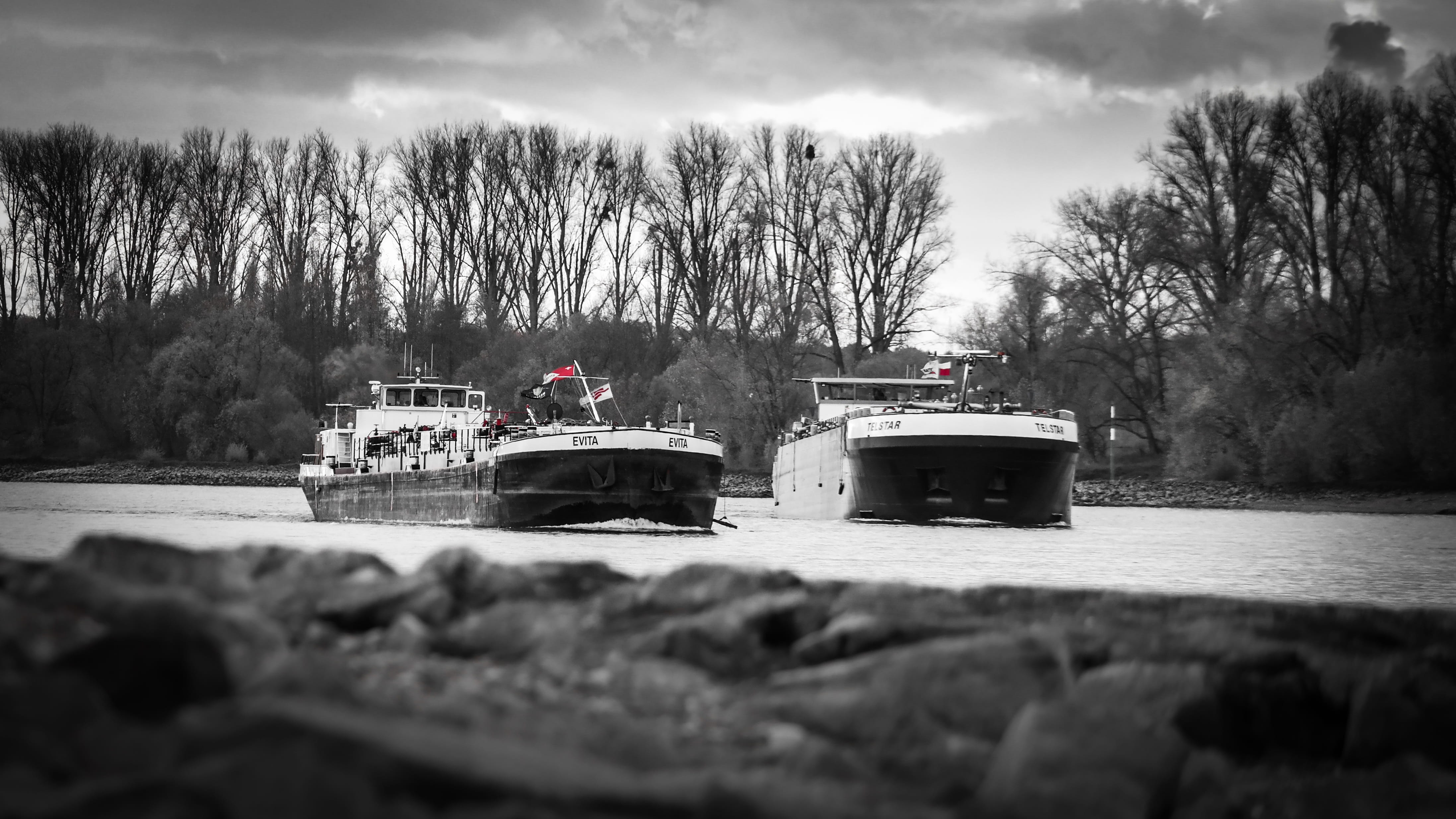 plant, tree, mode of transportation, rhine cruises, 4K, freighter, day, barge, transport ship, land, autotransport, outdoors, no people, selective focus, HD Wallpaper