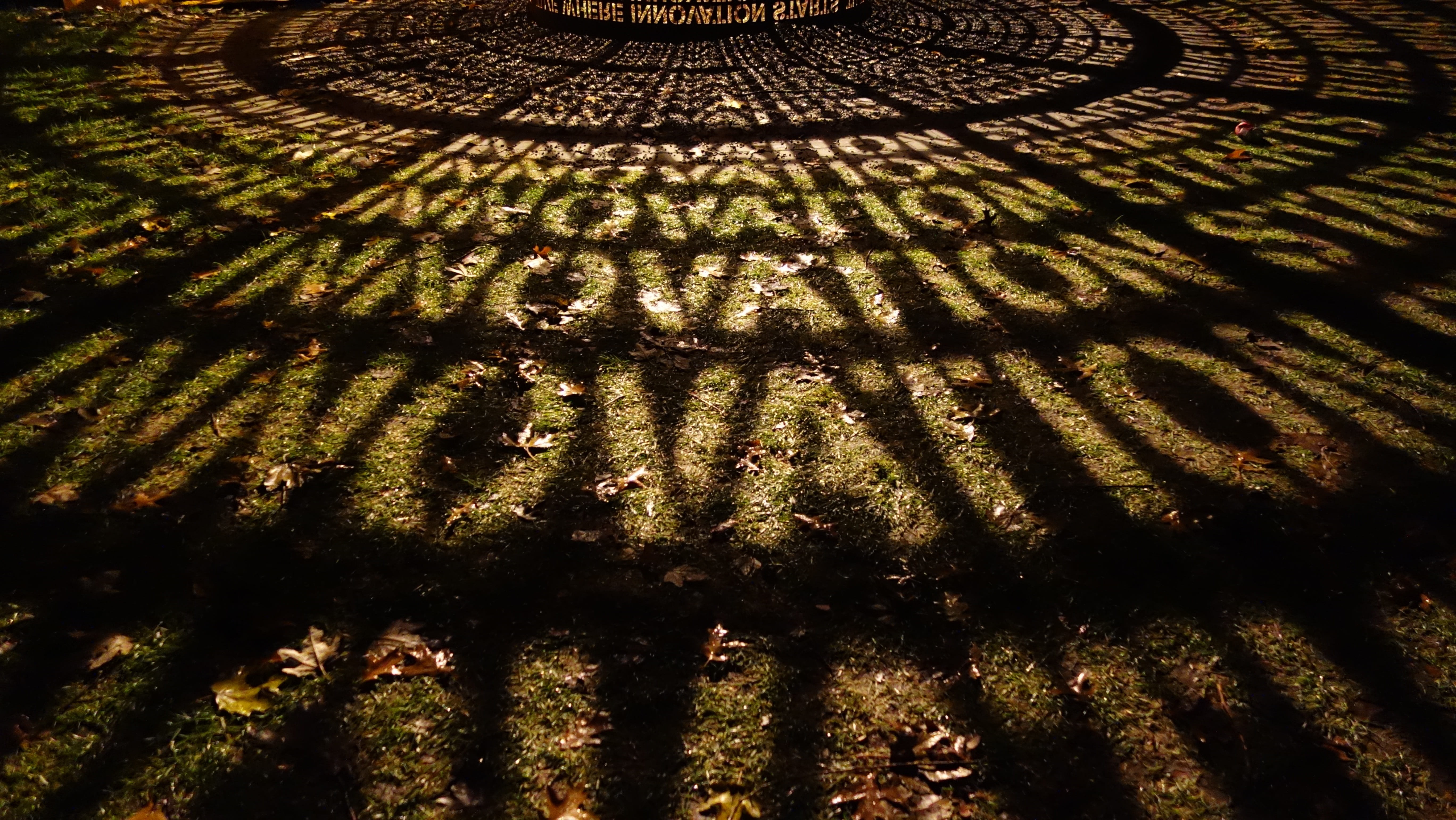 sunlight, full frame, pattern, textured, architecture, Glow, art, metal, focus on shadow, background, 5K, Innovation, black, land, day, plant, nature, HD Wallpaper