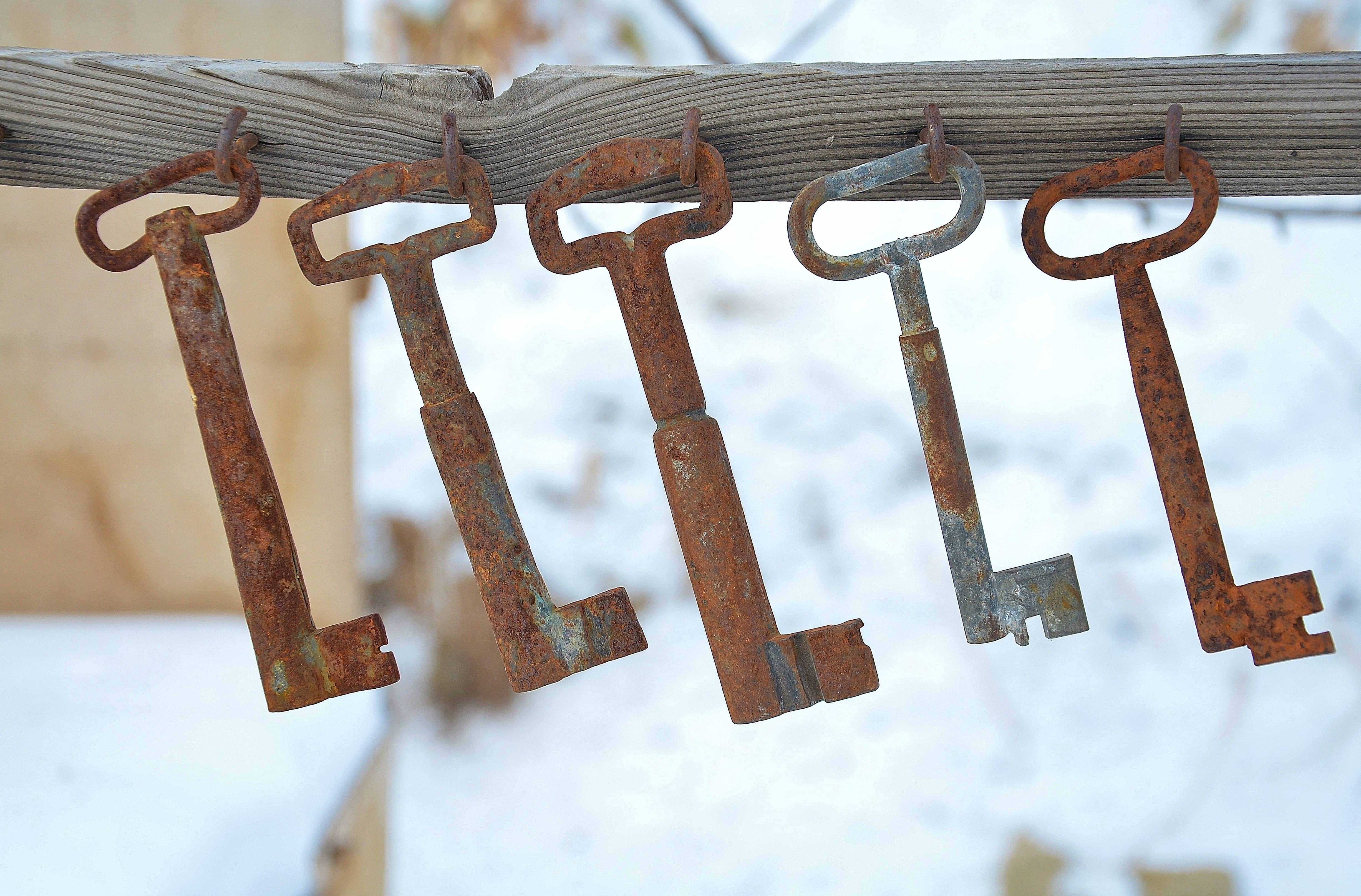 rusty, photo, padlock, focus on foreground, still life, low angle view, hanging, shallow, sky, key, focus, western script, lock, close-up, skeleton, one, HD Wallpaper