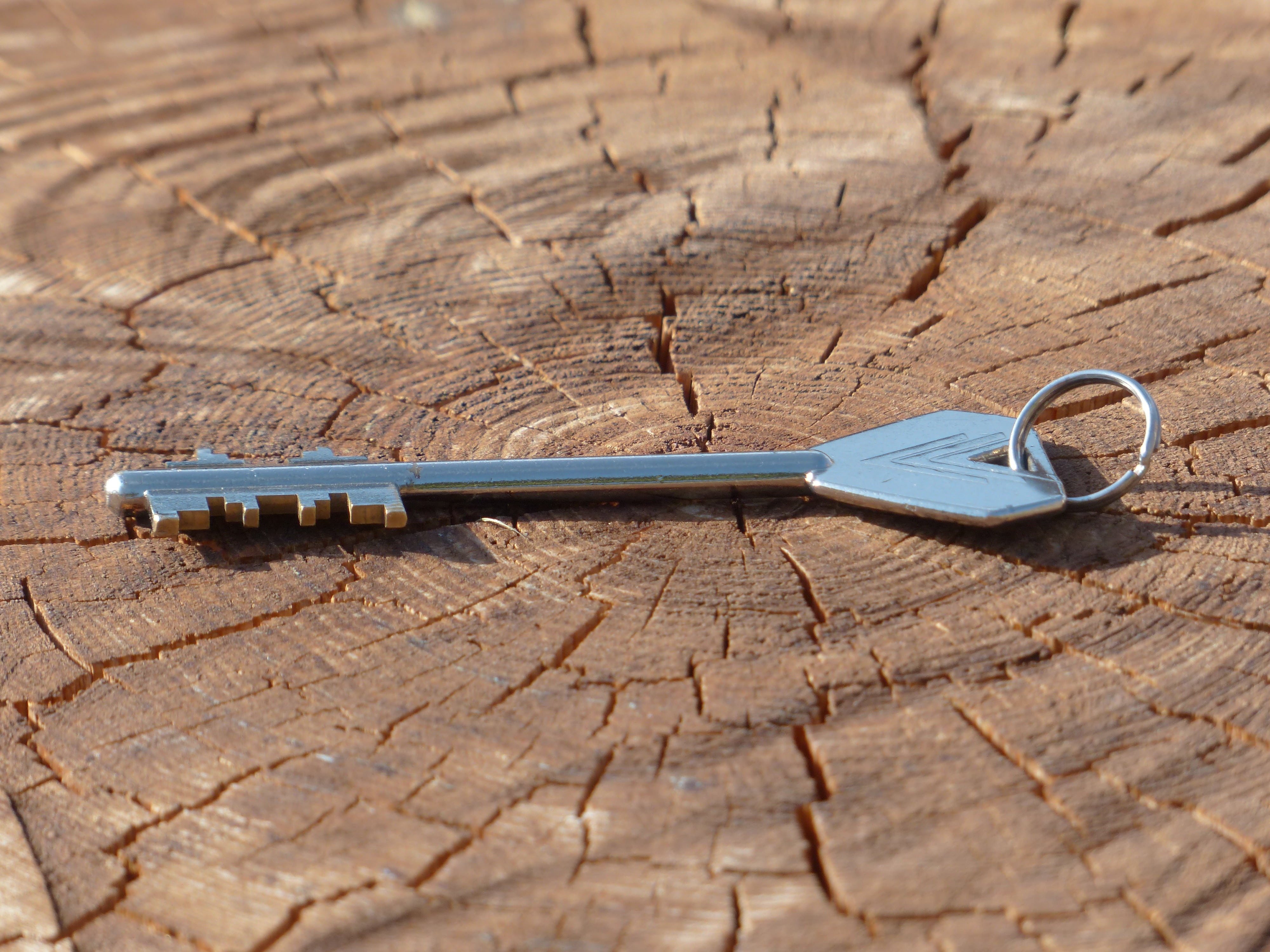 table, access, skeleton, shine, bart, close up, wood - Material, secret, textured, close to, outdoors, blade, key, weapon, sunlight, castle, silver, door key, HD Wallpaper