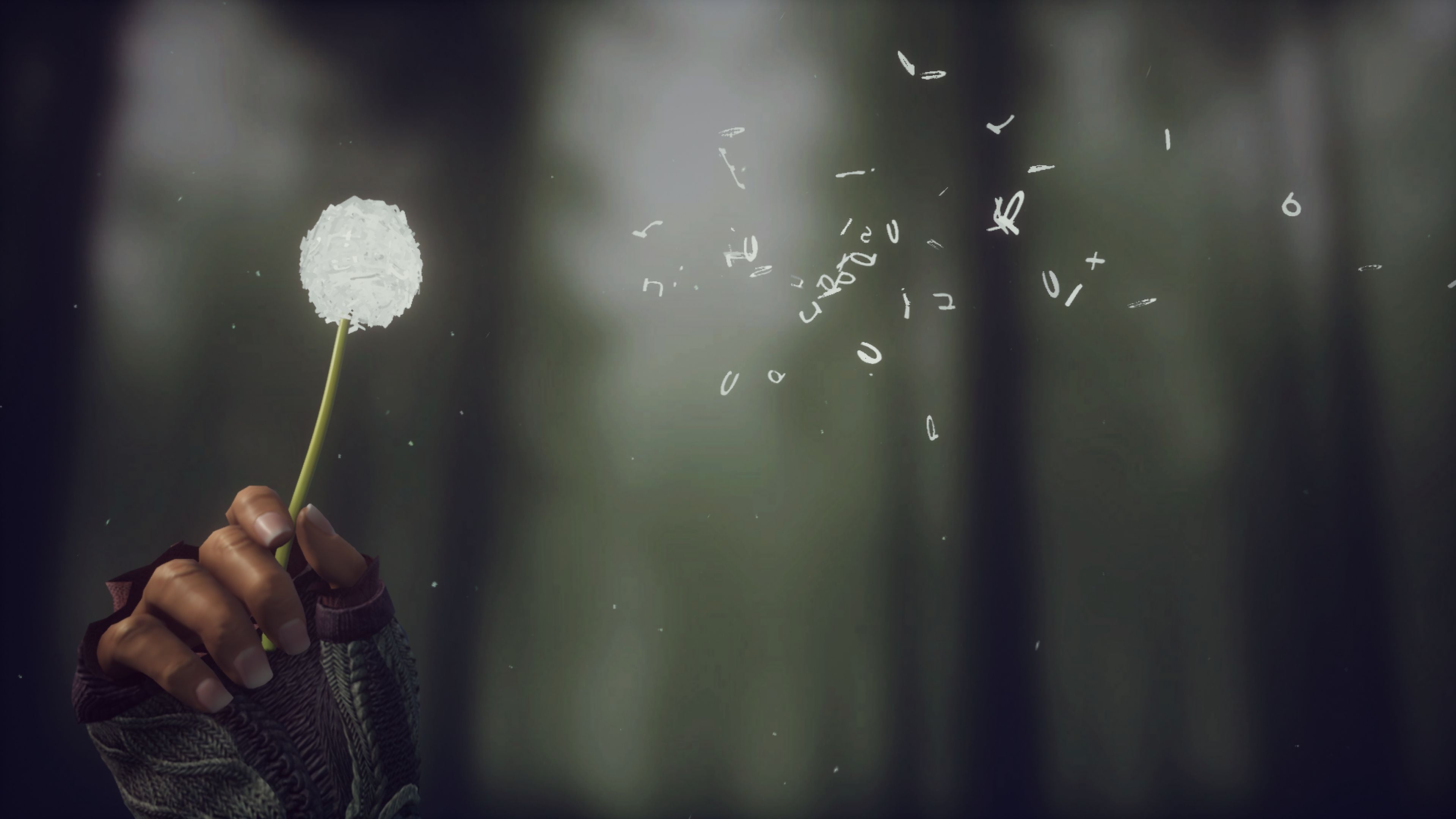 rose, What Remains of Edith Finch, video games, 4K, HD Wallpaper