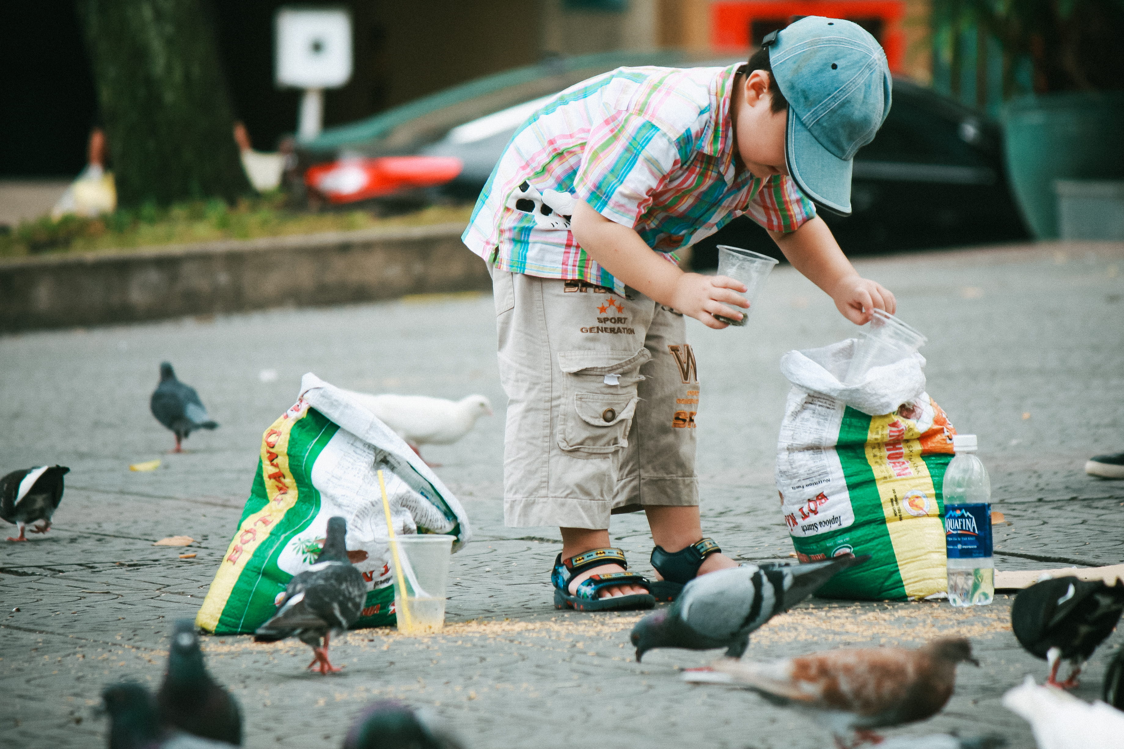 toddler, cups, full length, road, male, bending over, vertebrate, outdoors, one person, birds, feeding, bending, day, sack, bird, disposable, leisure activity, HD Wallpaper