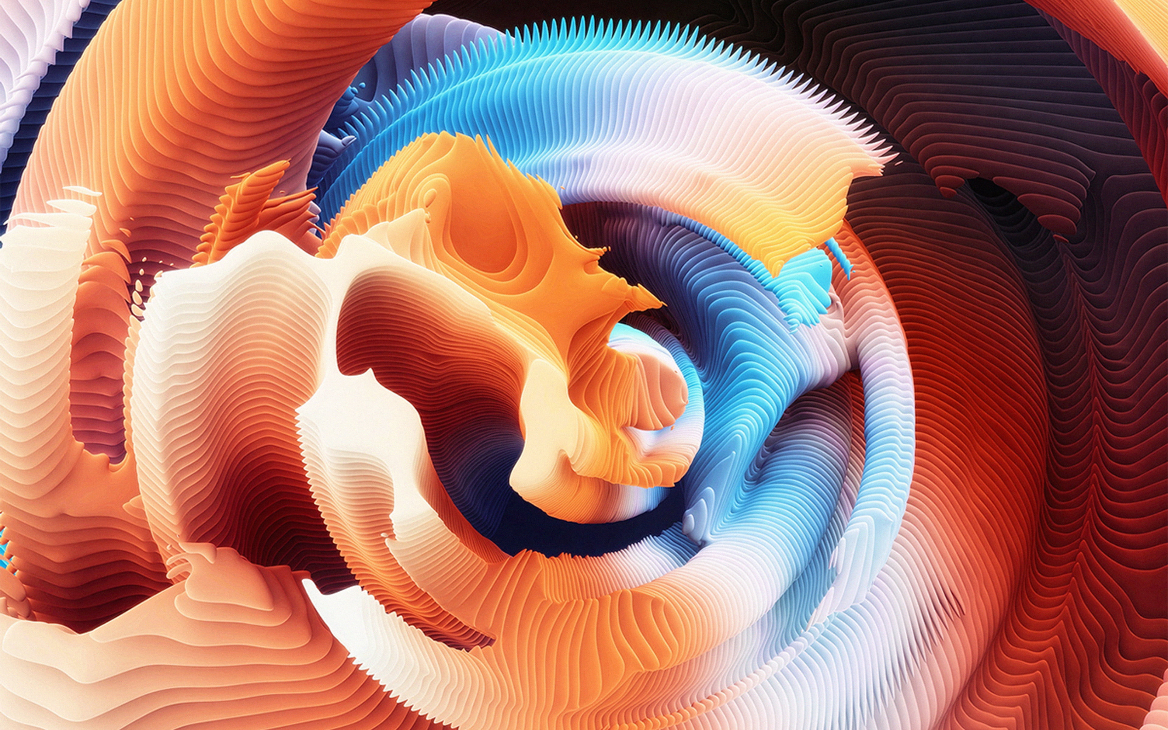 abstract, pattern, animal, 4K, spiral, fish, animal wildlife, sunlight, full frame, quiz, invertebrate, art, vibrant color, multi colored, art and craft, HD Wallpaper